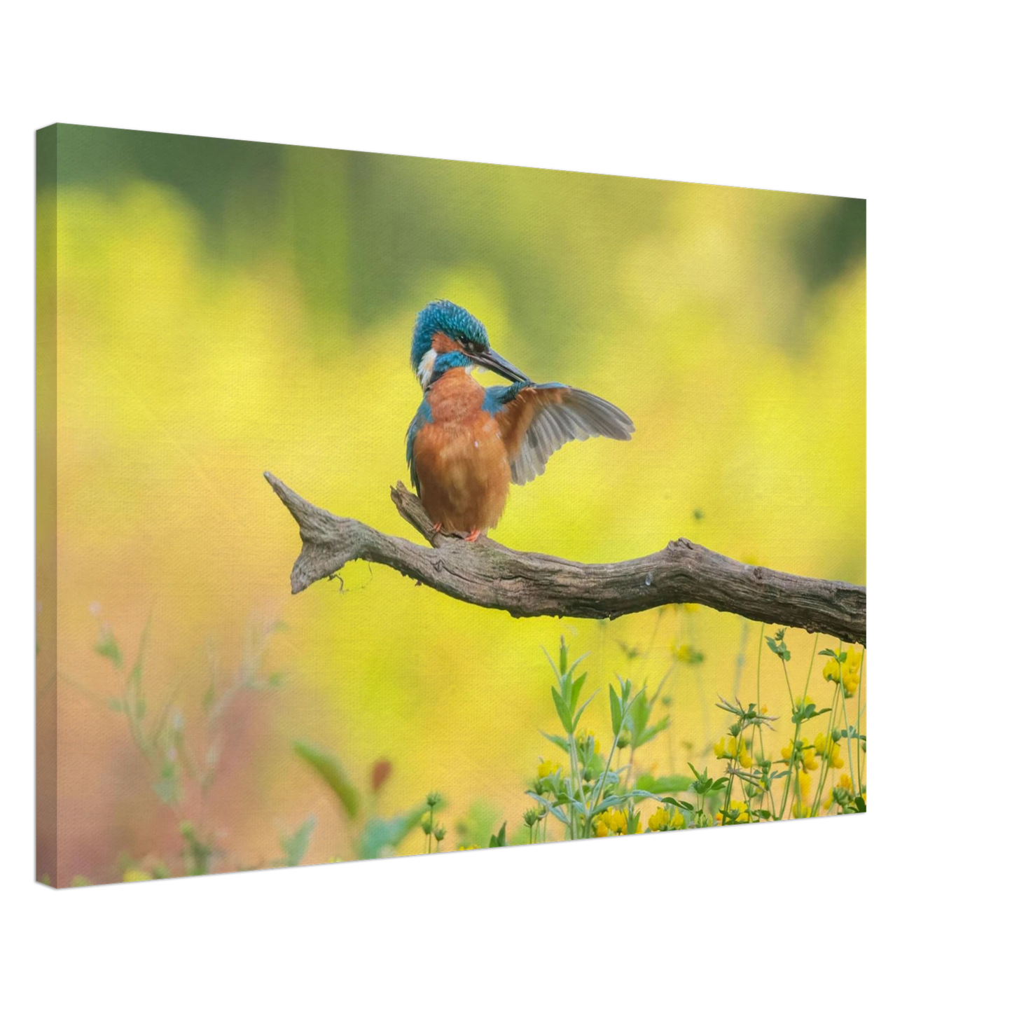 Wandbild eisvogel lebendige naturkunst fuer ihr zuhause