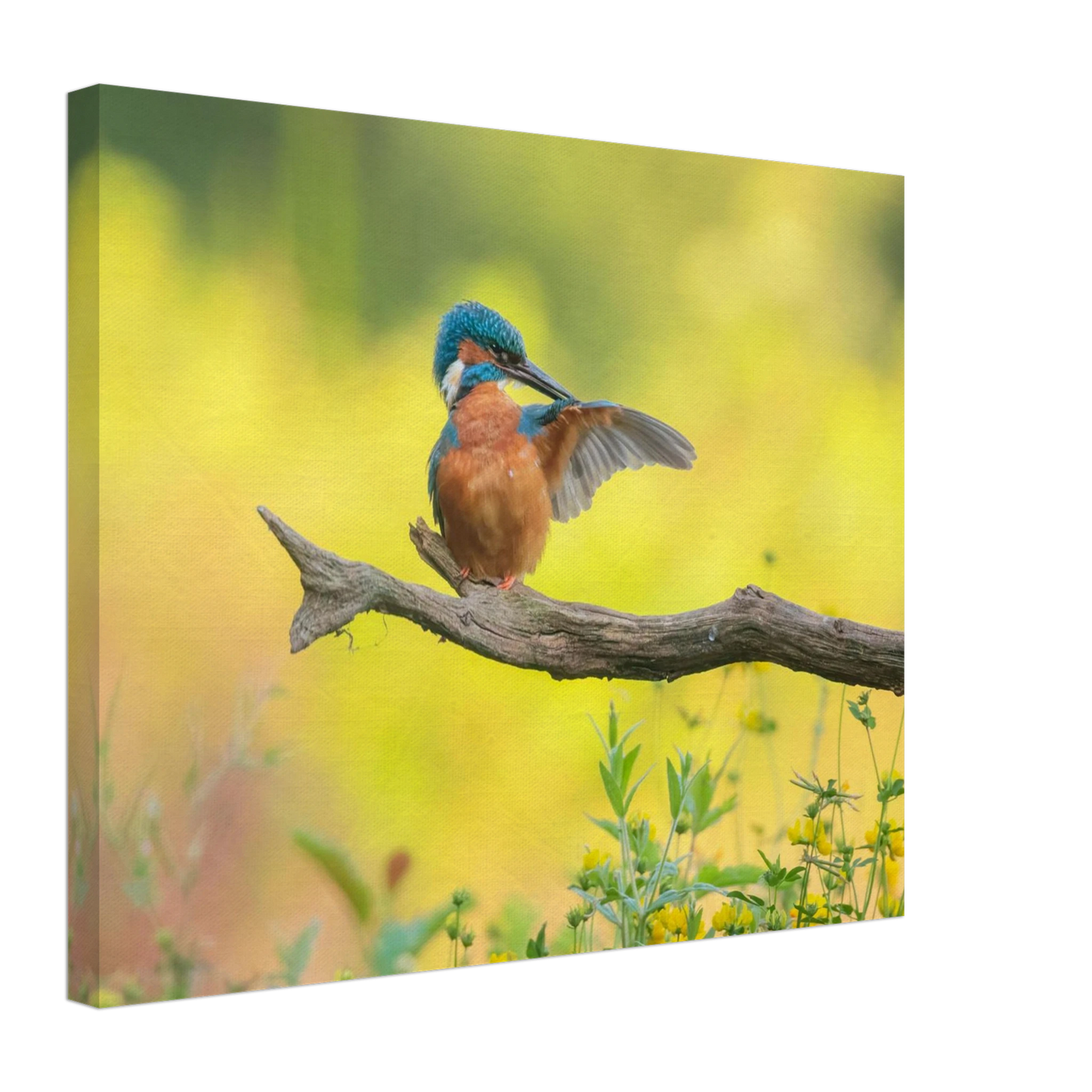 Wandbild eisvogel lebendige naturkunst fuer ihr zuhause