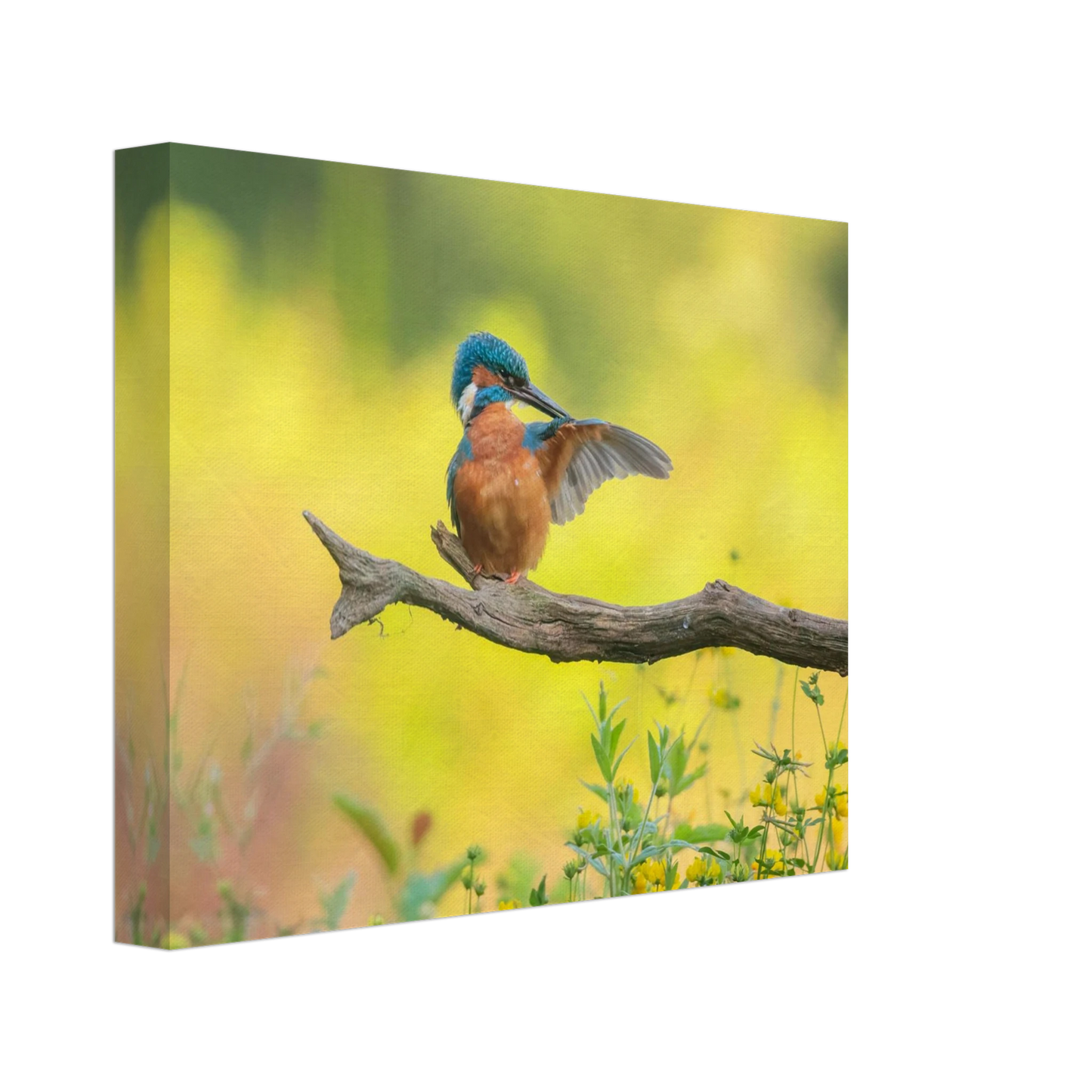 Wandbild eisvogel lebendige naturkunst fuer ihr zuhause