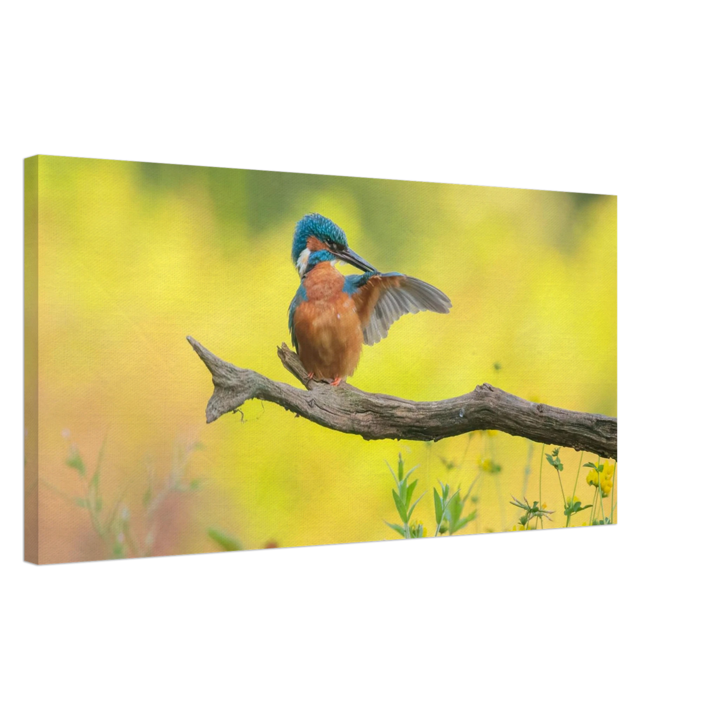 Wandbild eisvogel lebendige naturkunst fuer ihr zuhause