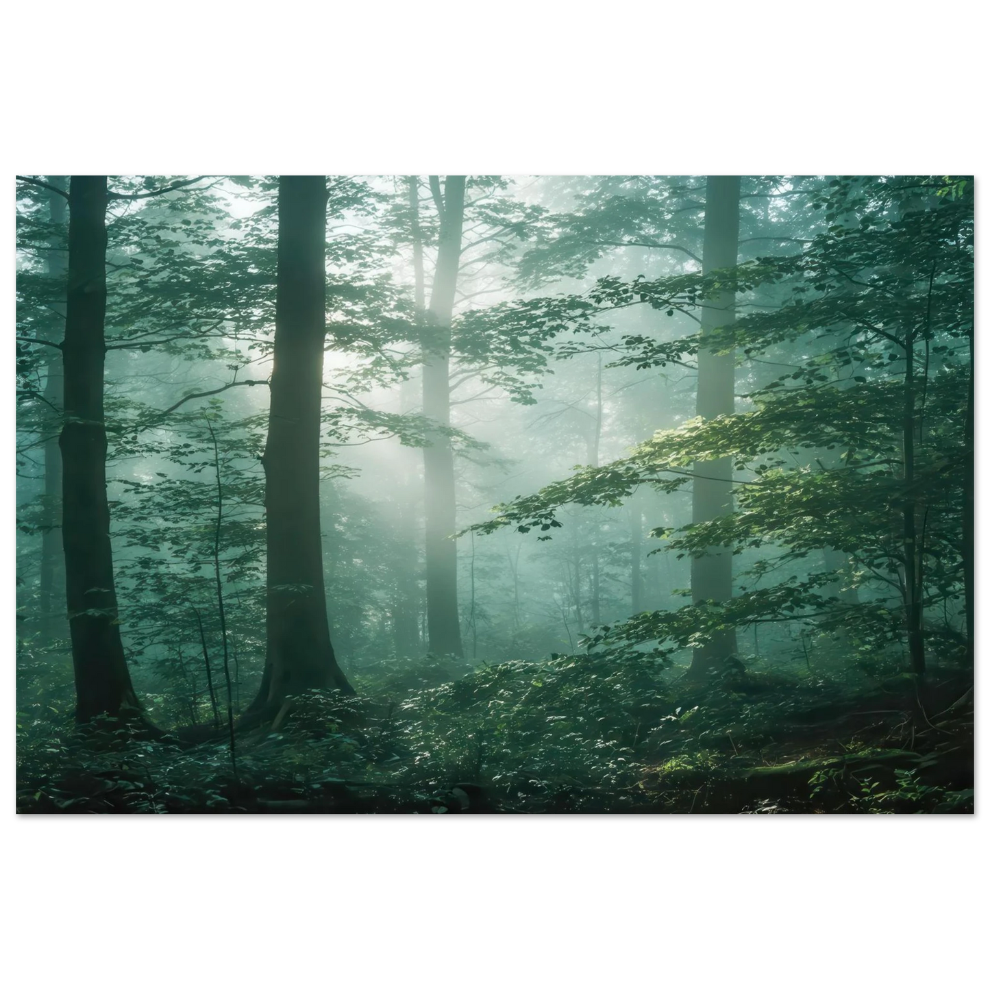 Wandbild mystischer smaragd wald mit sonnenstrahlen beruhigende nebelwald kunst in ihrer wunschgroesse