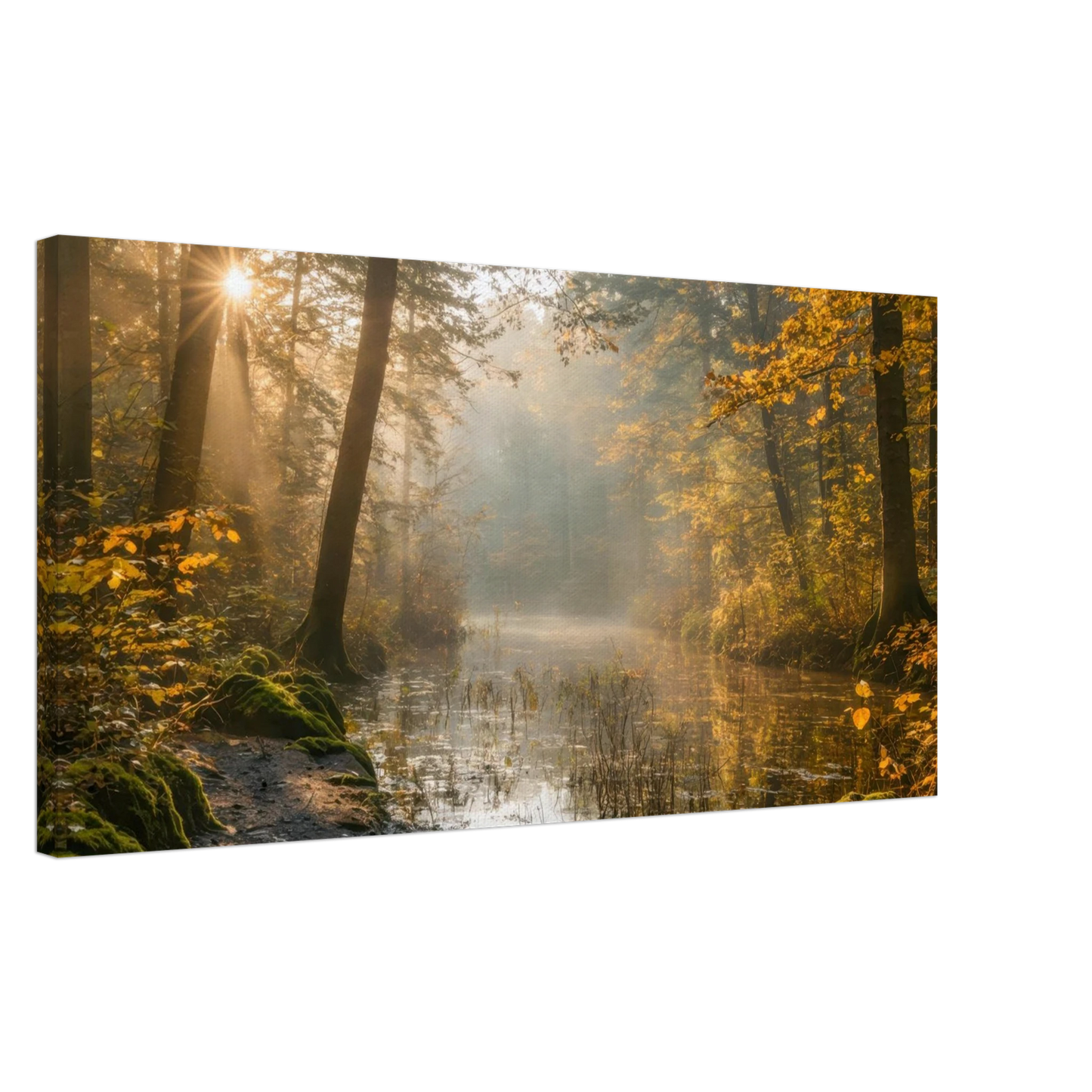 Wandbild Herbstwald morgenlicht wandbild goldenes ambiente in deiner wunschgroesse