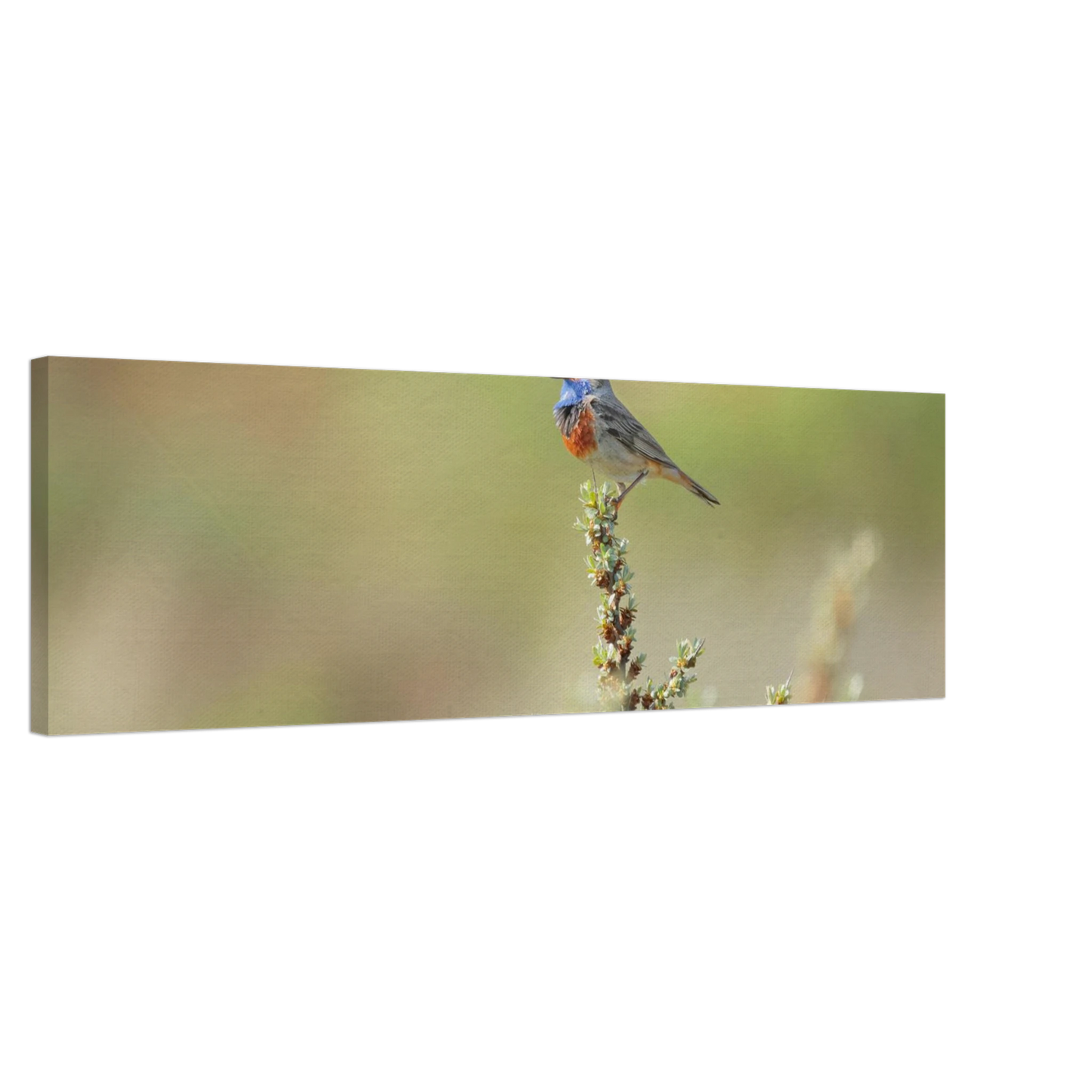 Wandbild der ruf der wildnis ein lebhaftes vogelportraet
