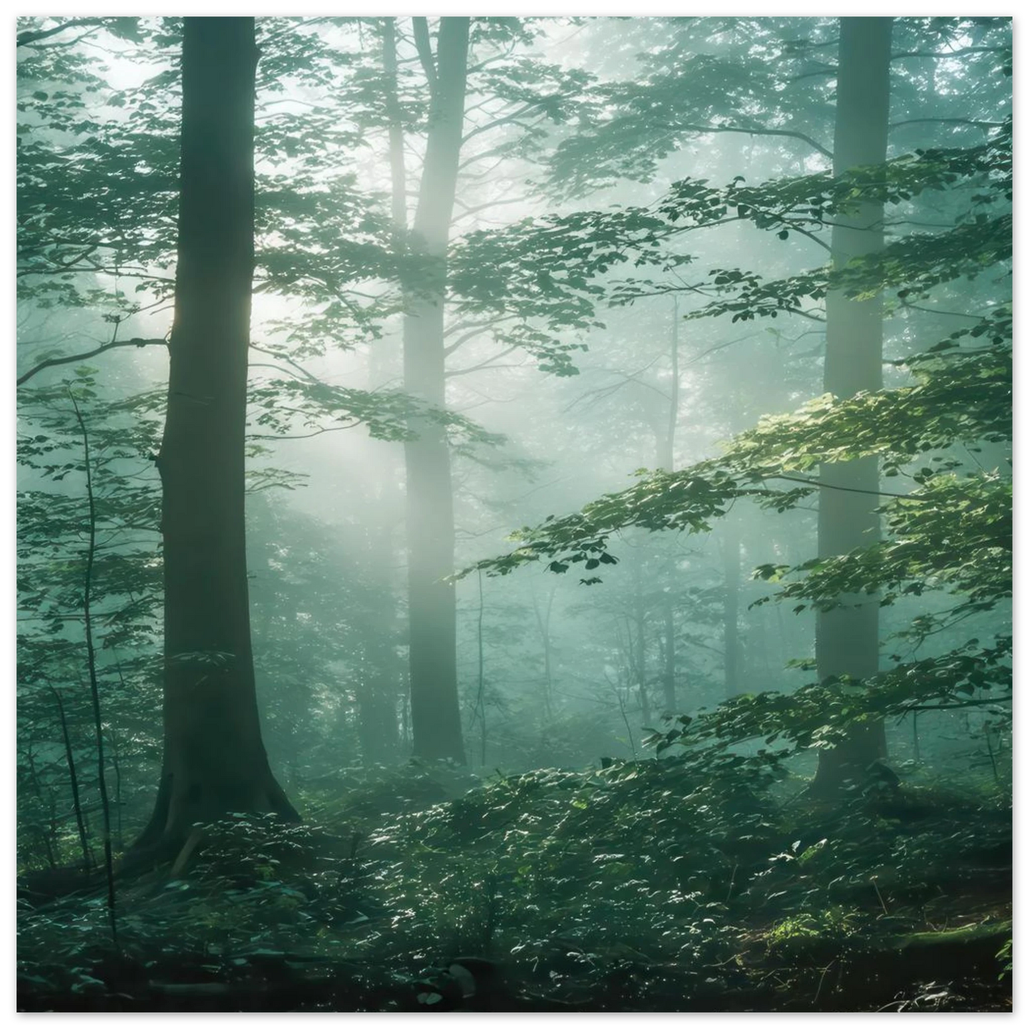 Wandbild mystischer smaragd wald mit sonnenstrahlen beruhigende nebelwald kunst in ihrer wunschgroesse