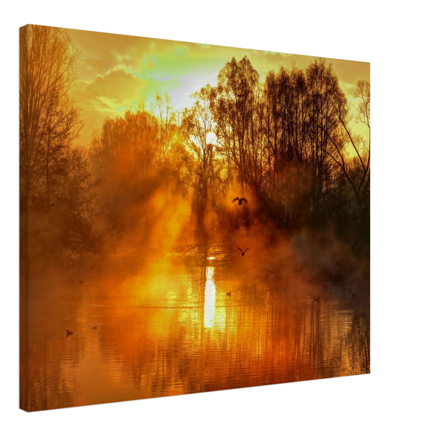 Wandbild Goldene morgenroete wandbild nebelwald poster in 25 groessenausfuehrungen