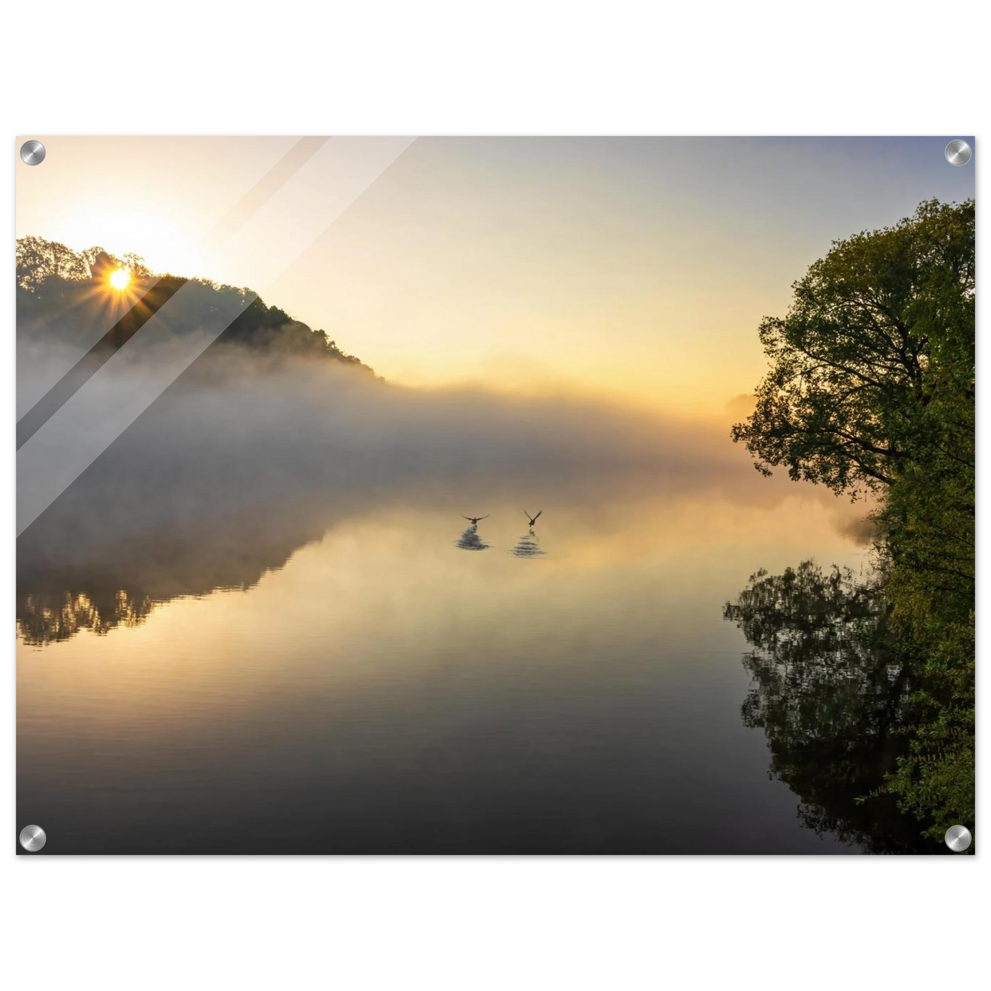 Wandbild mystischer sonnenaufgang ueber dem nebelmeer stille wasser voegel leinwandbild fuer ihr zuhause