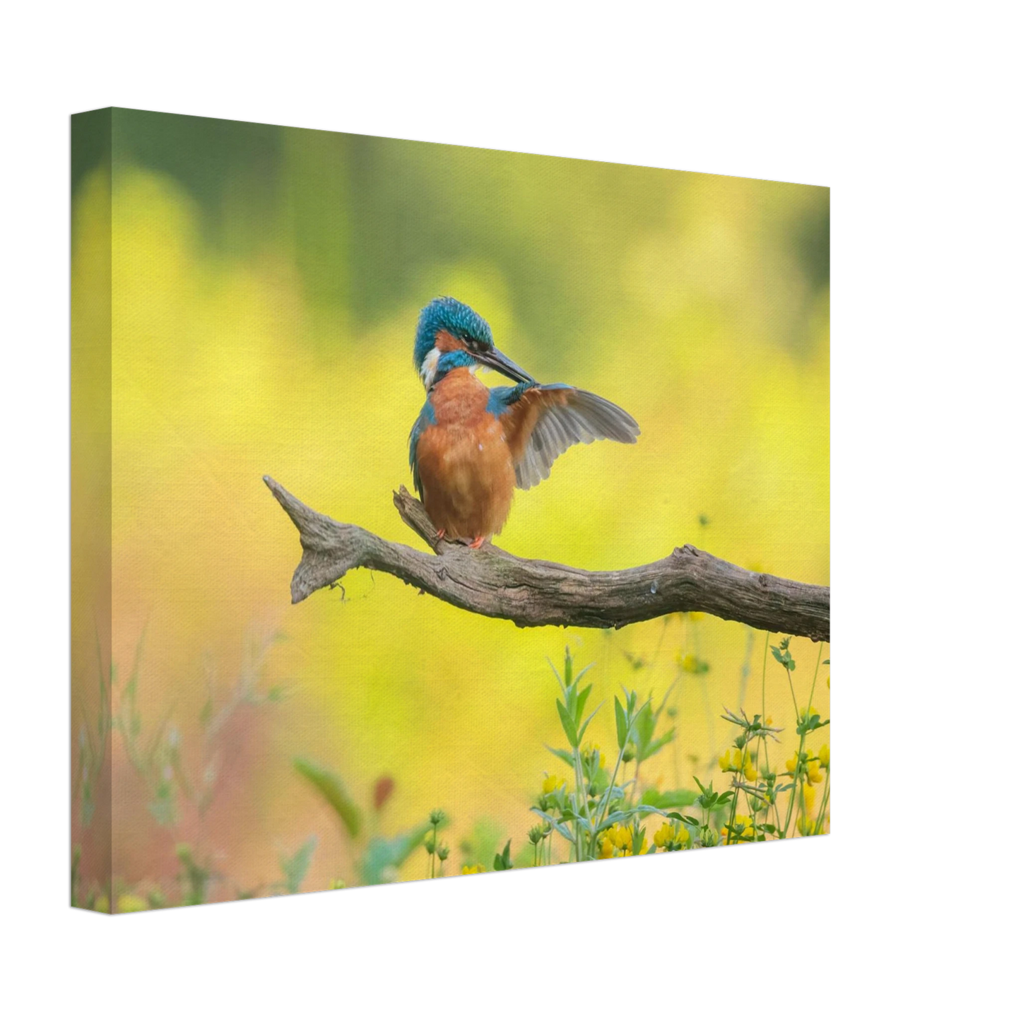 Wandbild eisvogel lebendige naturkunst fuer ihr zuhause