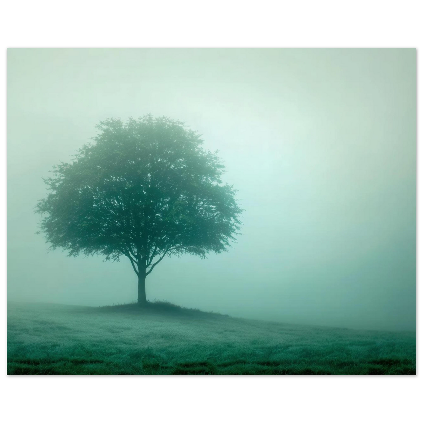 Wandbild mystischer baum im nebel ruhe und gruentoene fuer dein zuhause