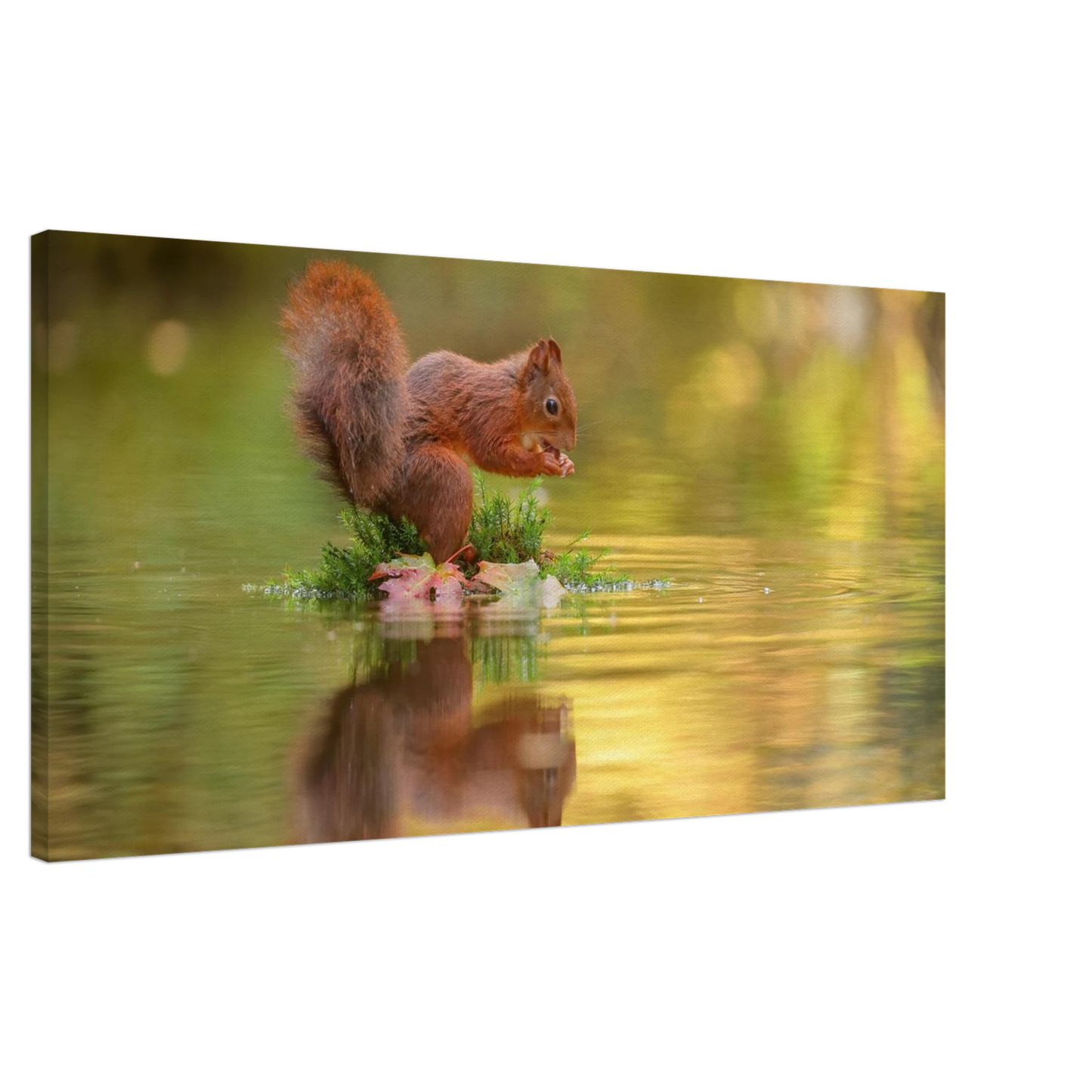 Wandbild bezauberndes eichhoernchen mit nuss lebendige wildtierkunst fuer ihr zuhause