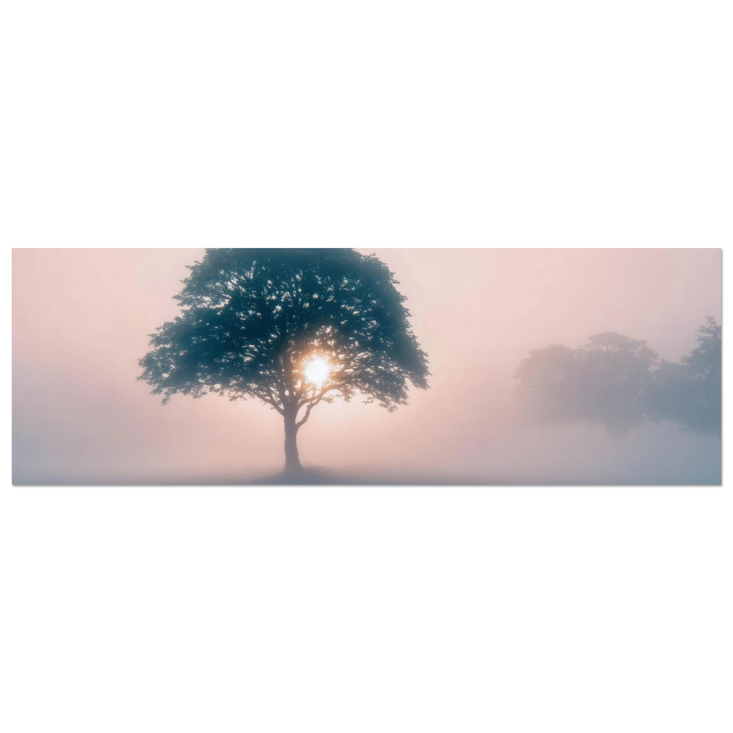 Wandbild mystischer morgendaemmerung baum traumhaftes landschaftsbild fuer ihre wohlfuehloase