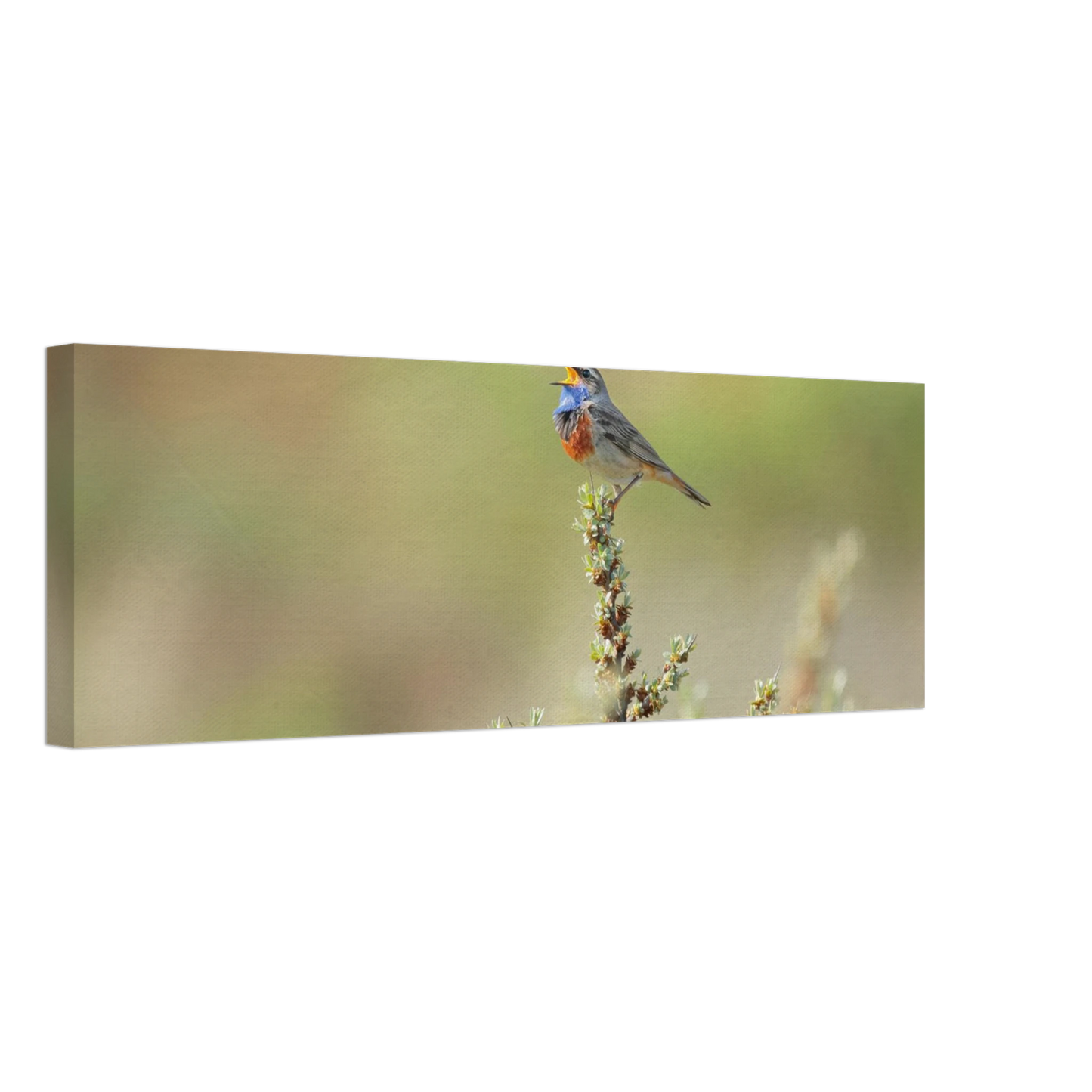 Wandbild der ruf der wildnis ein lebhaftes vogelportraet