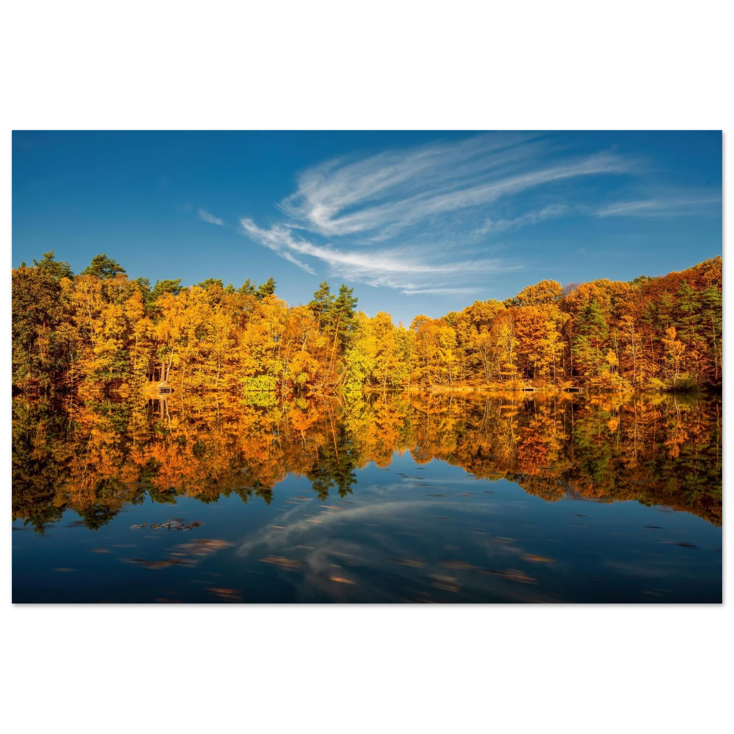 Wandbild herbstliche see symphonie atemberaubende waldspiegelung an einem sonnigen herbsttag