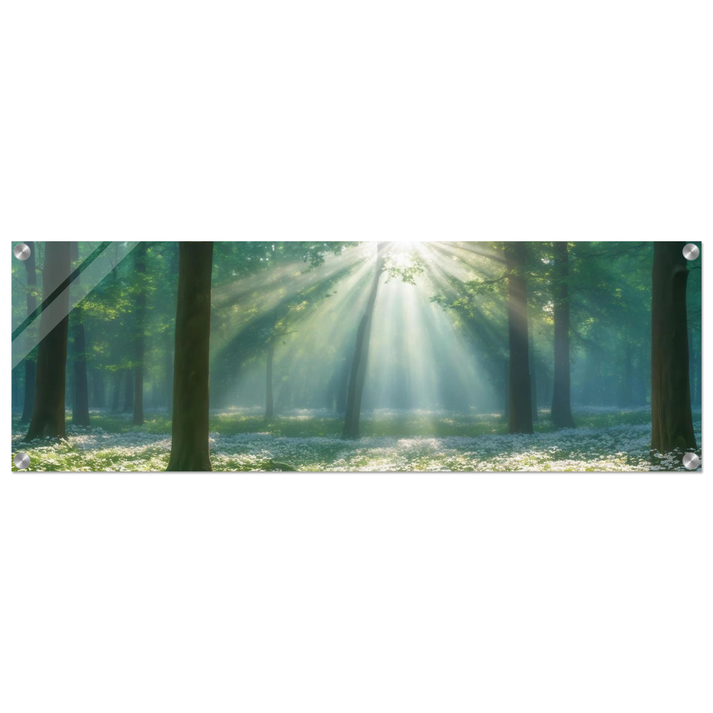 Wandbild mystischer wald sonnenstrahlen im gruenen bluetenmeer