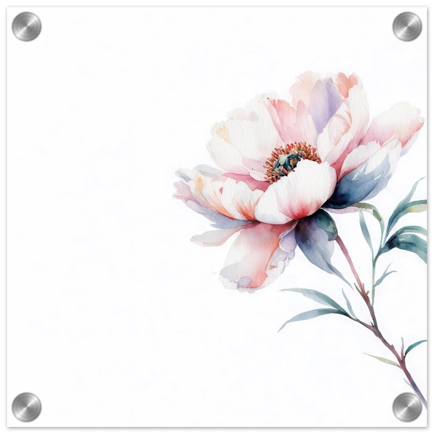Wandbild zarte pfingstrose elegante aquarell kunst fuer ihr zuhause in wunschgroesse