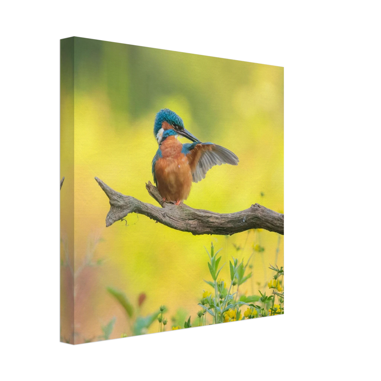 Wandbild eisvogel lebendige naturkunst fuer ihr zuhause