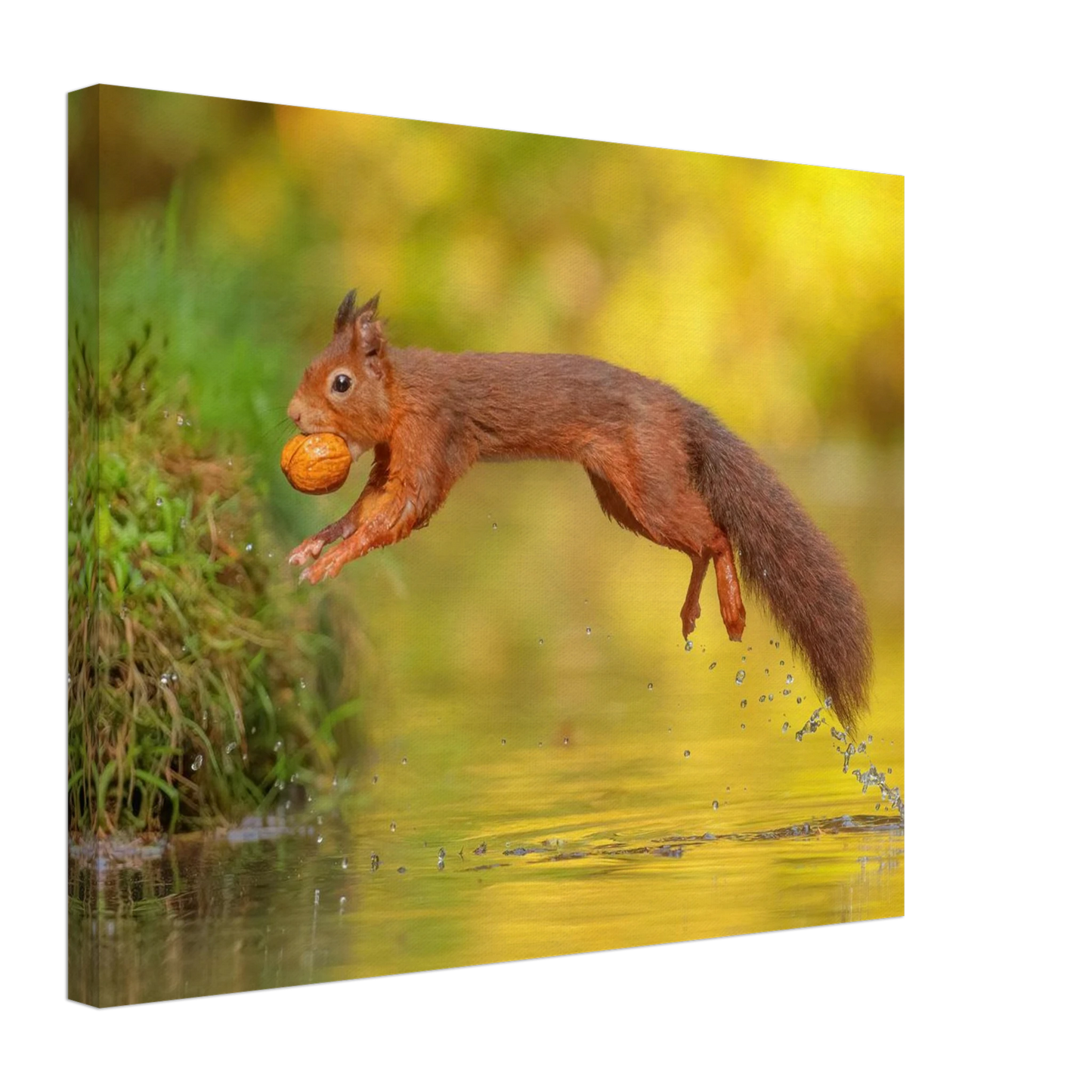 Wandbild eichhoernchen mit nuss dynamische tierkunst in leuchtenden herbstfarben
