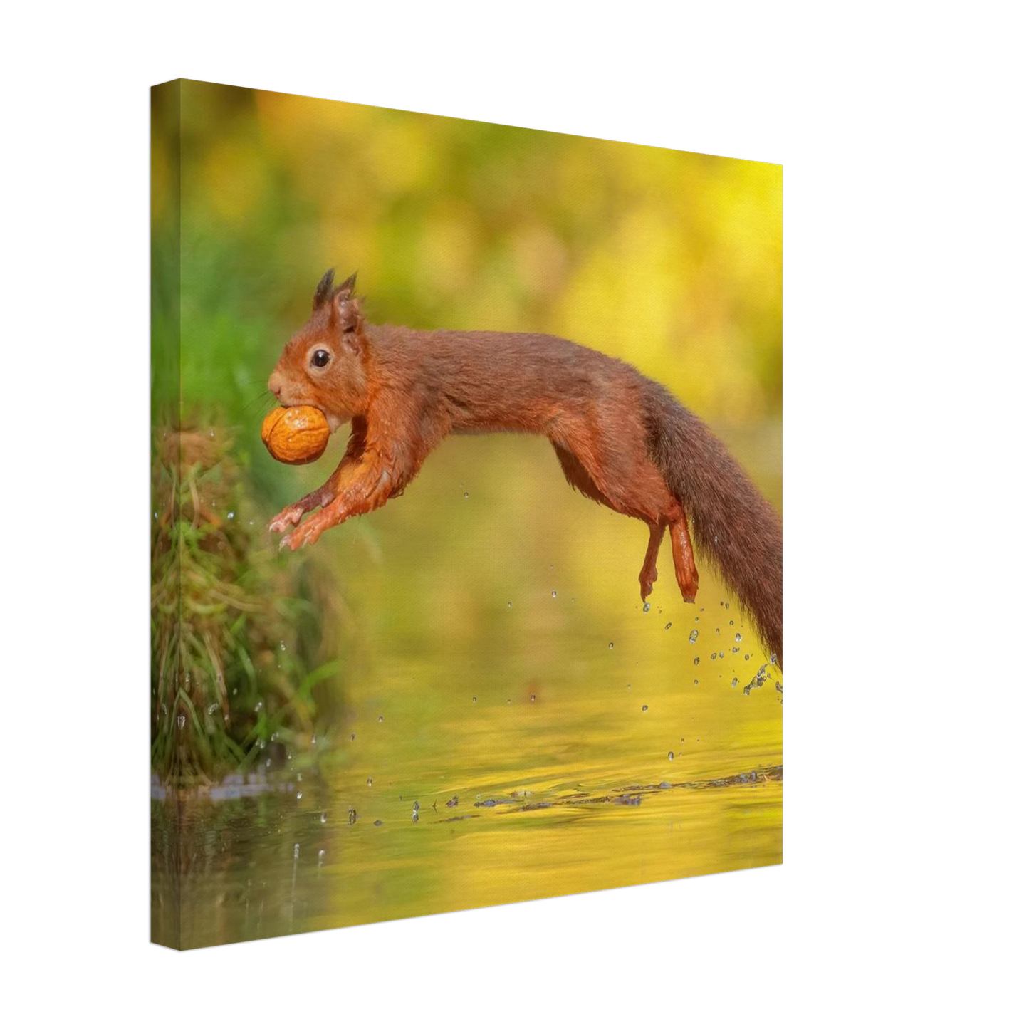 Wandbild eichhoernchen mit nuss dynamische tierkunst in leuchtenden herbstfarben
