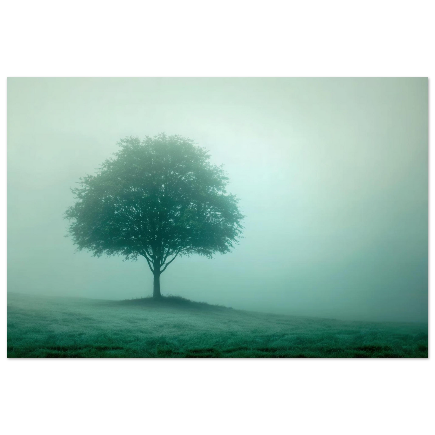 Wandbild mystischer baum im nebel ruhe und gruentoene fuer dein zuhause