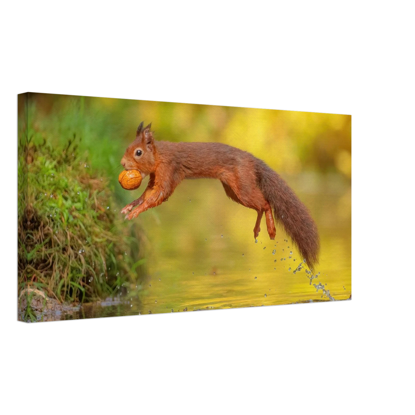 Wandbild eichhoernchen mit nuss dynamische tierkunst in leuchtenden herbstfarben