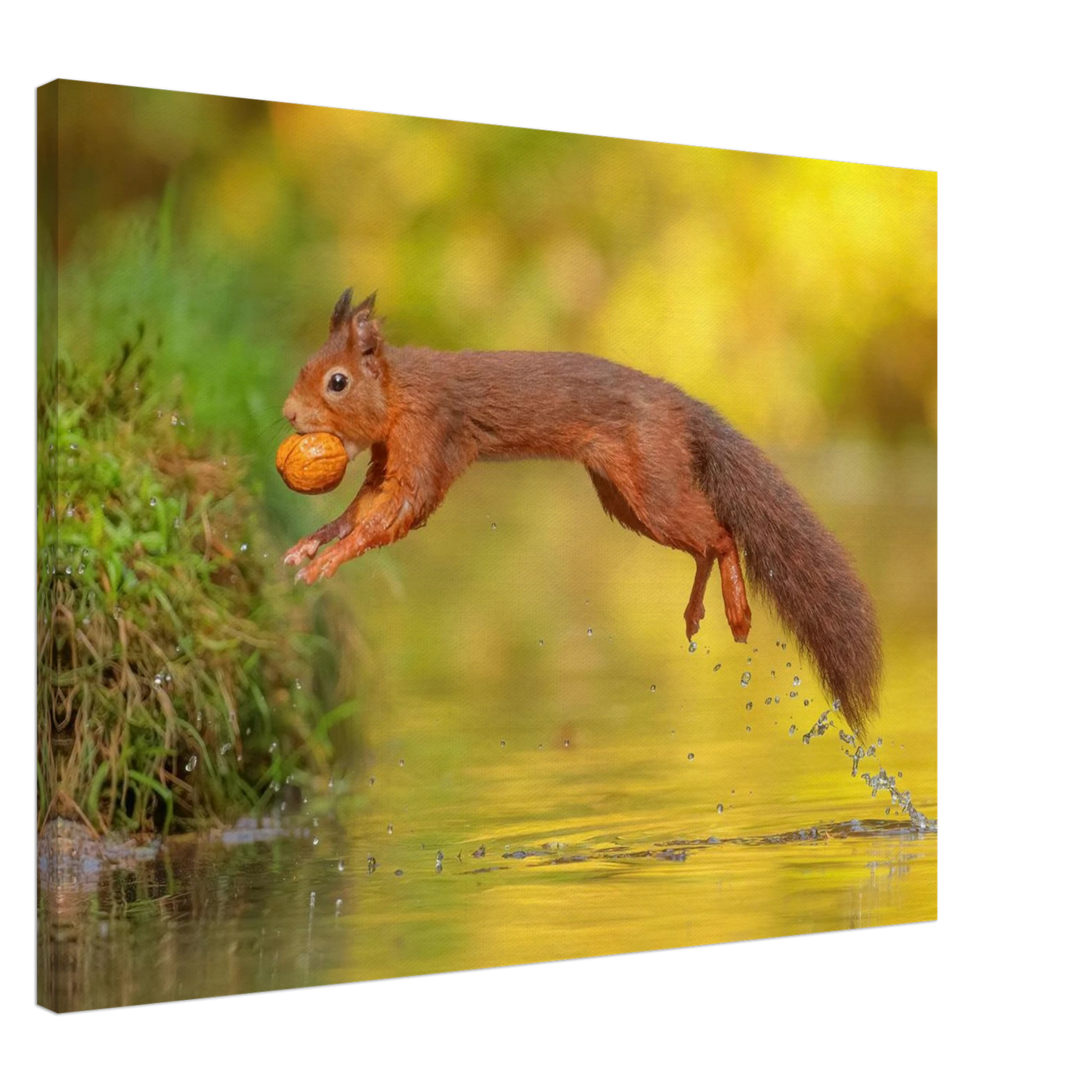 Wandbild eichhoernchen mit nuss dynamische tierkunst in leuchtenden herbstfarben