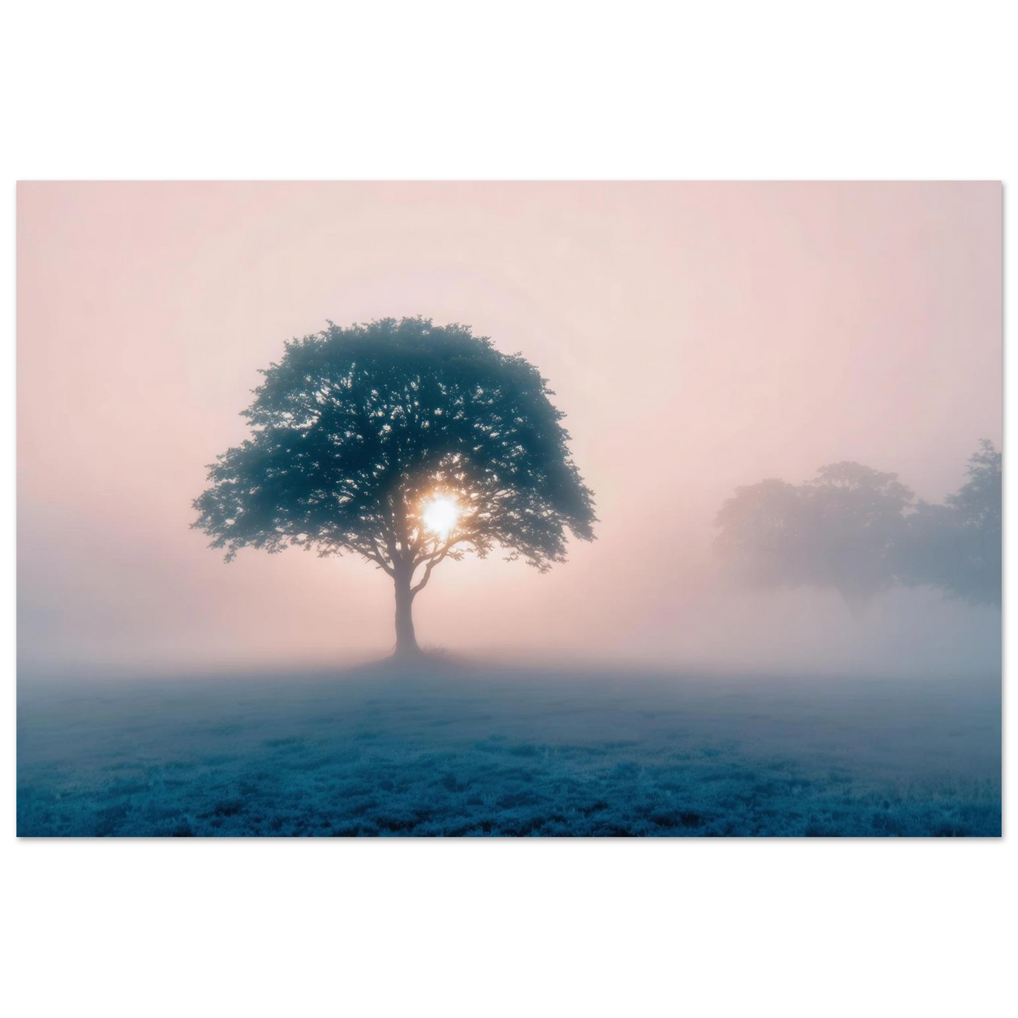 Wandbild mystischer morgendaemmerung baum traumhaftes landschaftsbild fuer ihre wohlfuehloase
