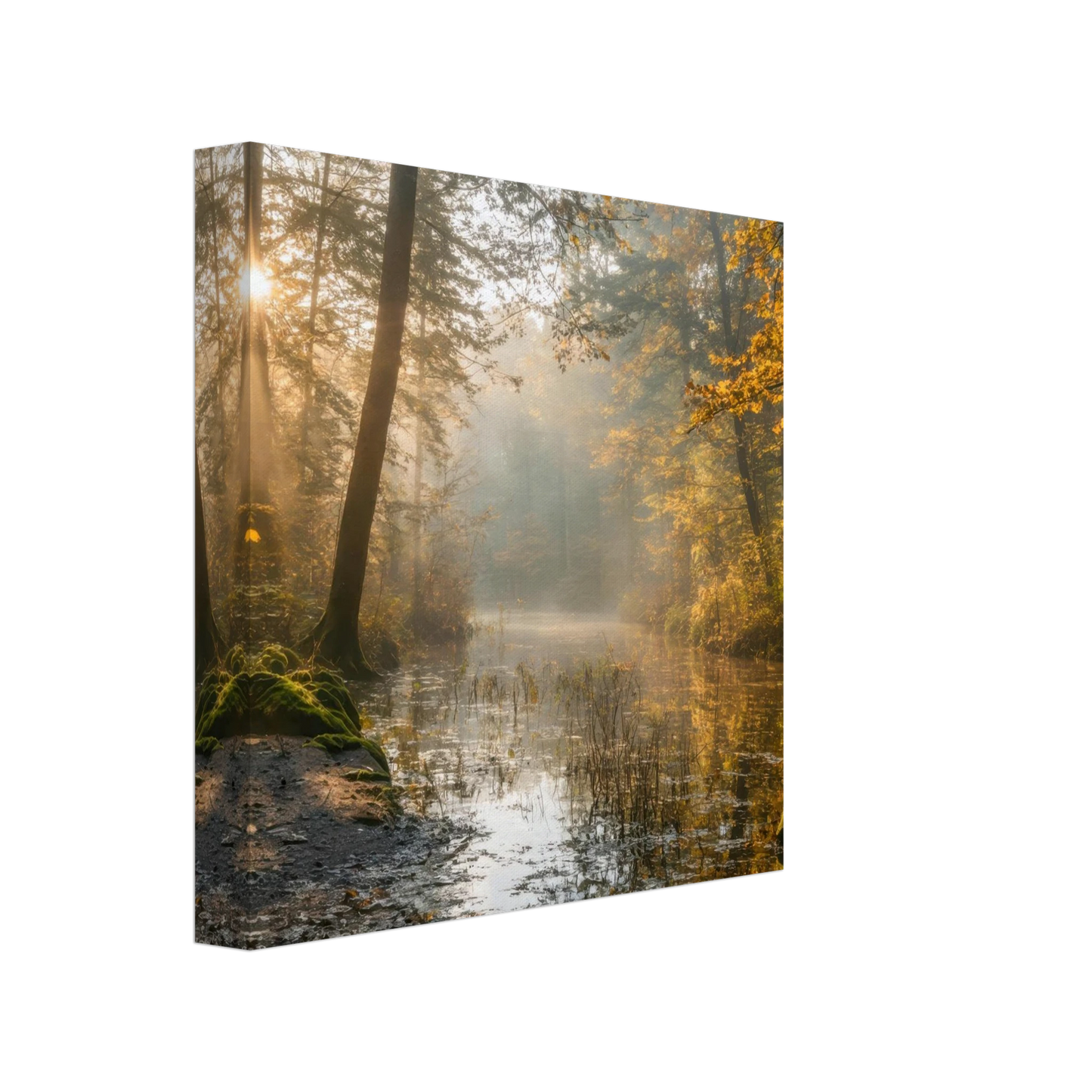 Wandbild Herbstwald morgenlicht wandbild goldenes ambiente in deiner wunschgroesse