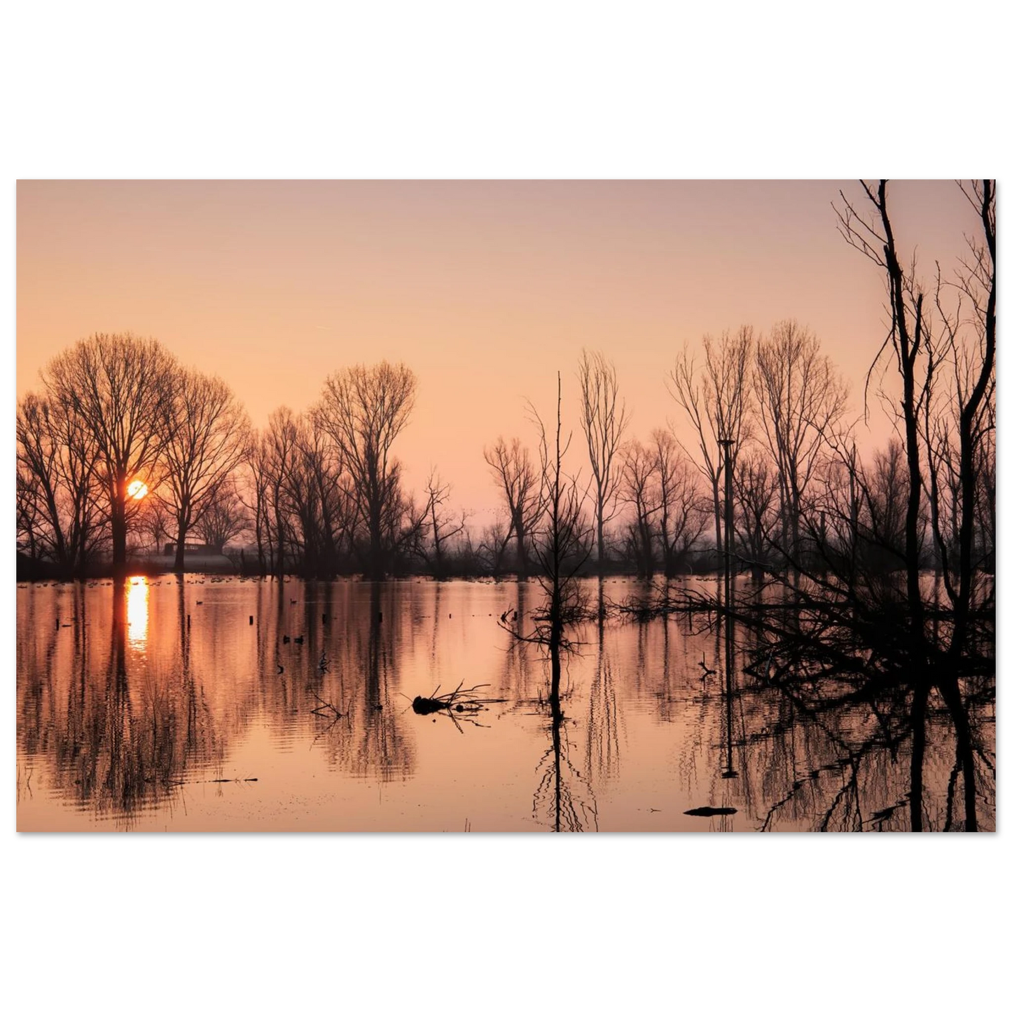 Wandbild mystischer sonnenuntergang am see vertraeumtes naturbild zum aufhaengen in ihrer wunschgroesse