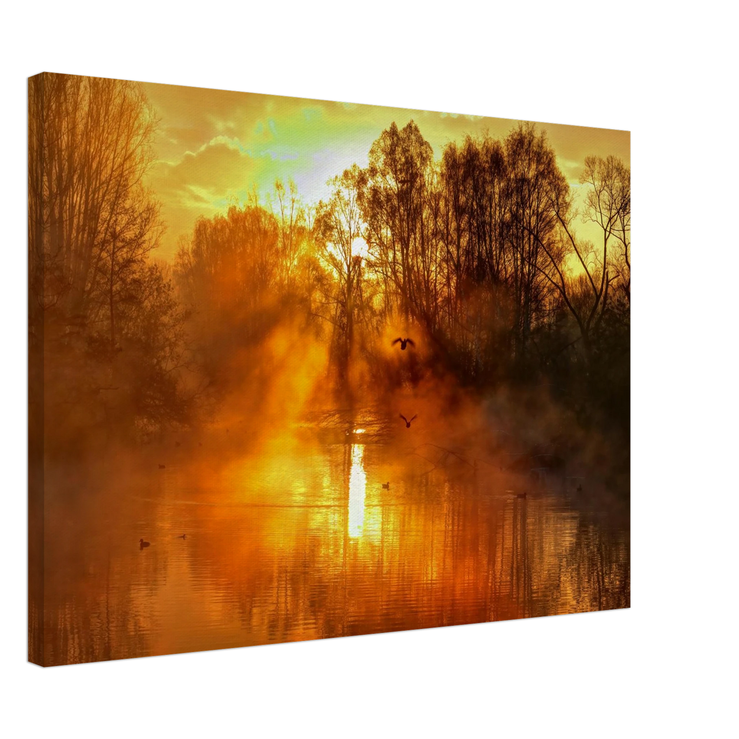 Wandbild Goldene morgenroete wandbild nebelwald poster in 25 groessenausfuehrungen