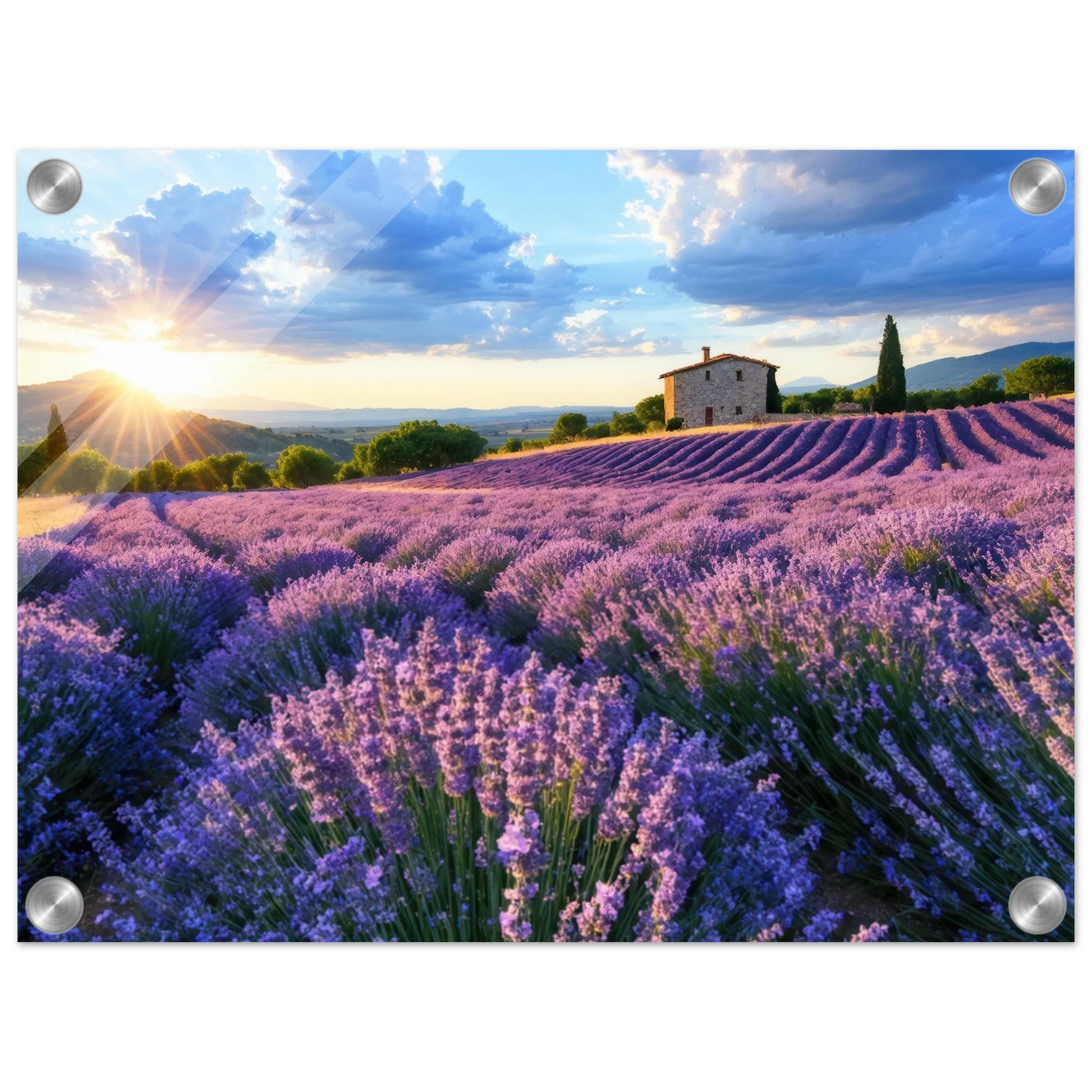 Wandbild sonnenuntergang ueber lavendelfeldern idyllische provence landschaft im wunschformat