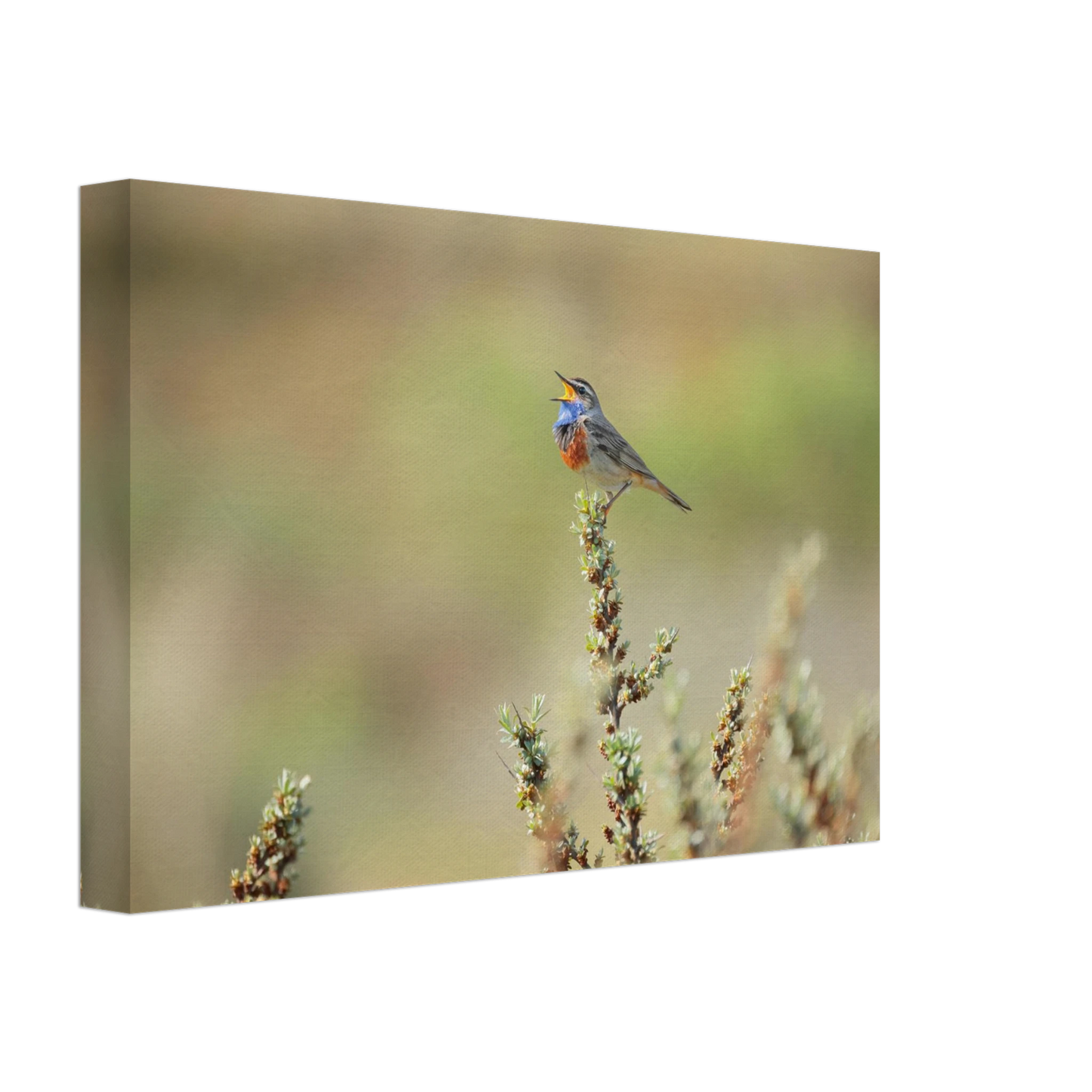 Wandbild der ruf der wildnis ein lebhaftes vogelportraet