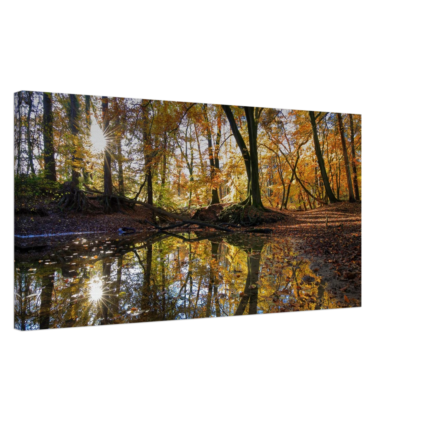 Wandbild goldener herbstwald stimmungsvolle spiegelung der natur in ihrer wunschgroesse