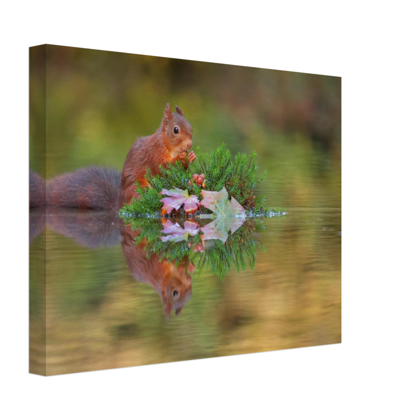 Wandbild bezauberndes eichhoernchen im herbstwald lebendige wildtierkunst fuer ihr zuhause in vielen groessen