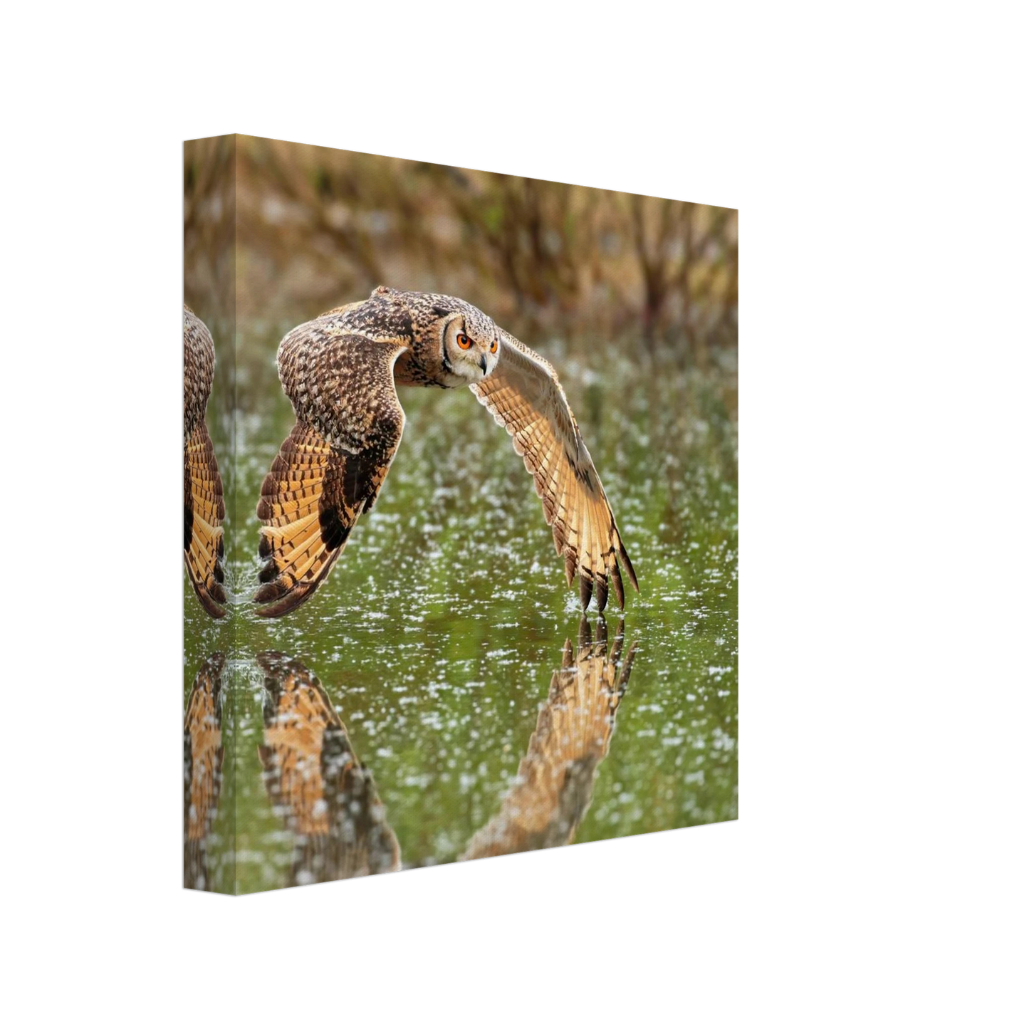 Wandbild majestaetische eule im flug naturfotografie mit lebendigen orangetoenen in ihrer wunschgroesse