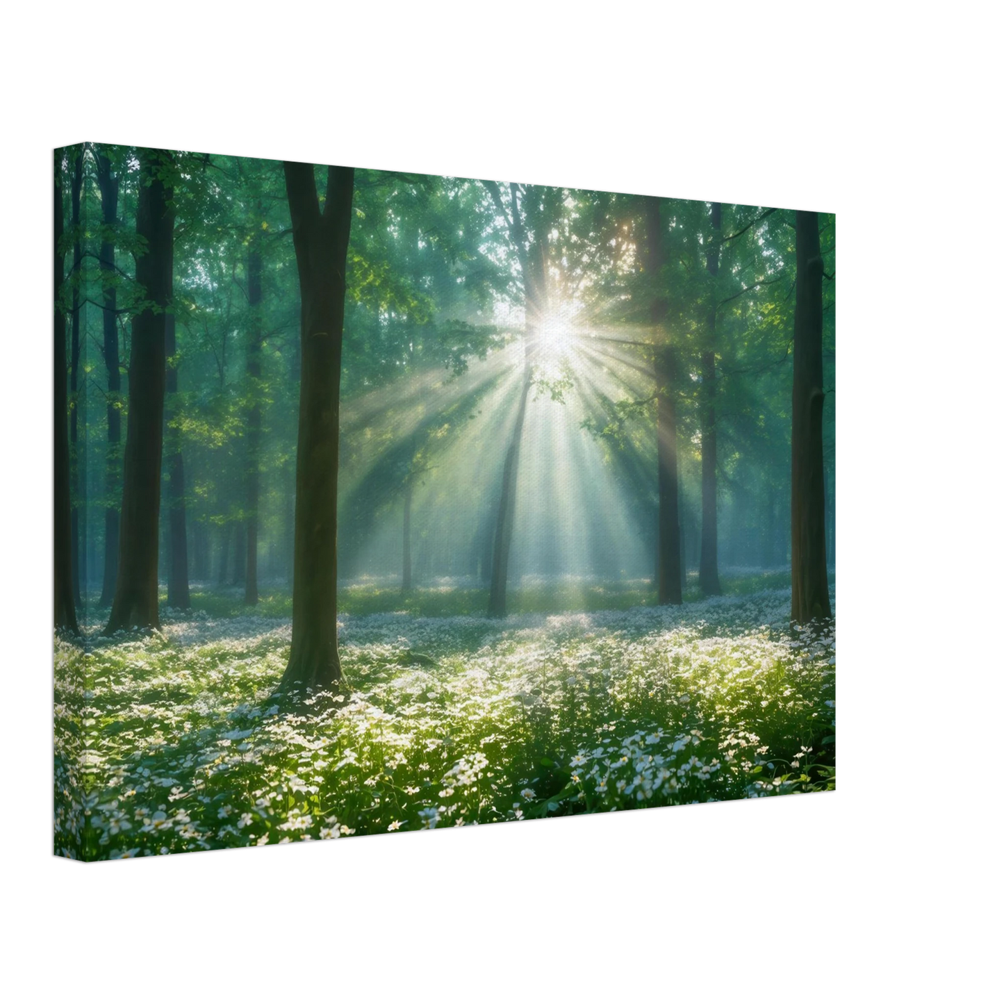 Wandbild mystischer wald sonnenstrahlen im gruenen bluetenmeer