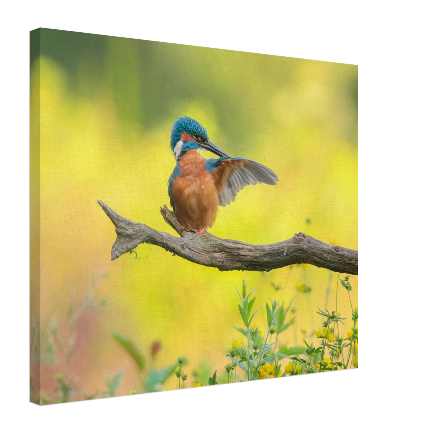 Wandbild eisvogel lebendige naturkunst fuer ihr zuhause