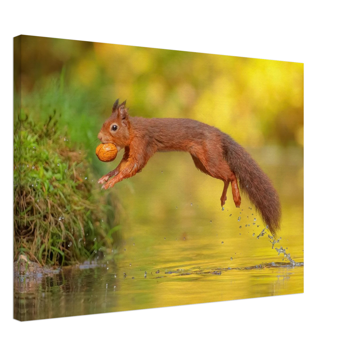 Wandbild eichhoernchen mit nuss dynamische tierkunst in leuchtenden herbstfarben