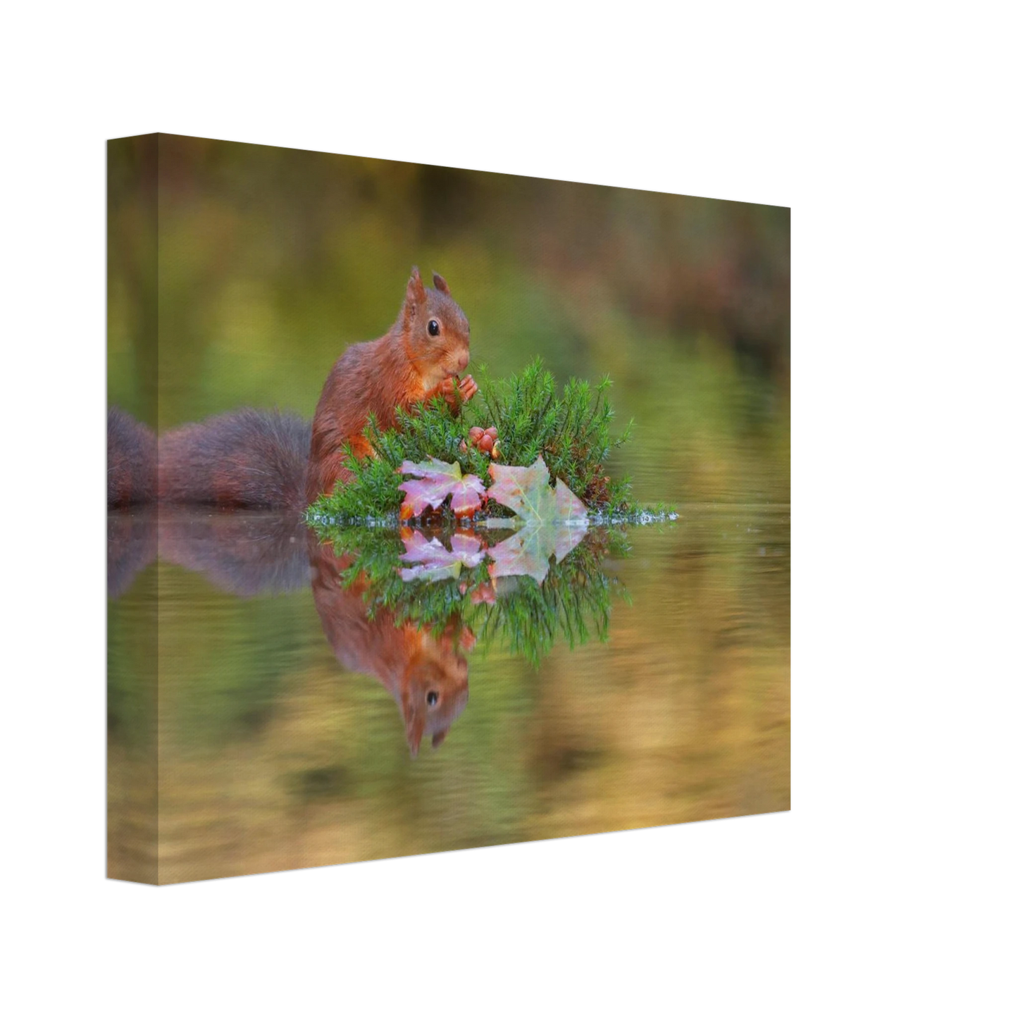 Wandbild bezauberndes eichhoernchen im herbstwald lebendige wildtierkunst fuer ihr zuhause in vielen groessen
