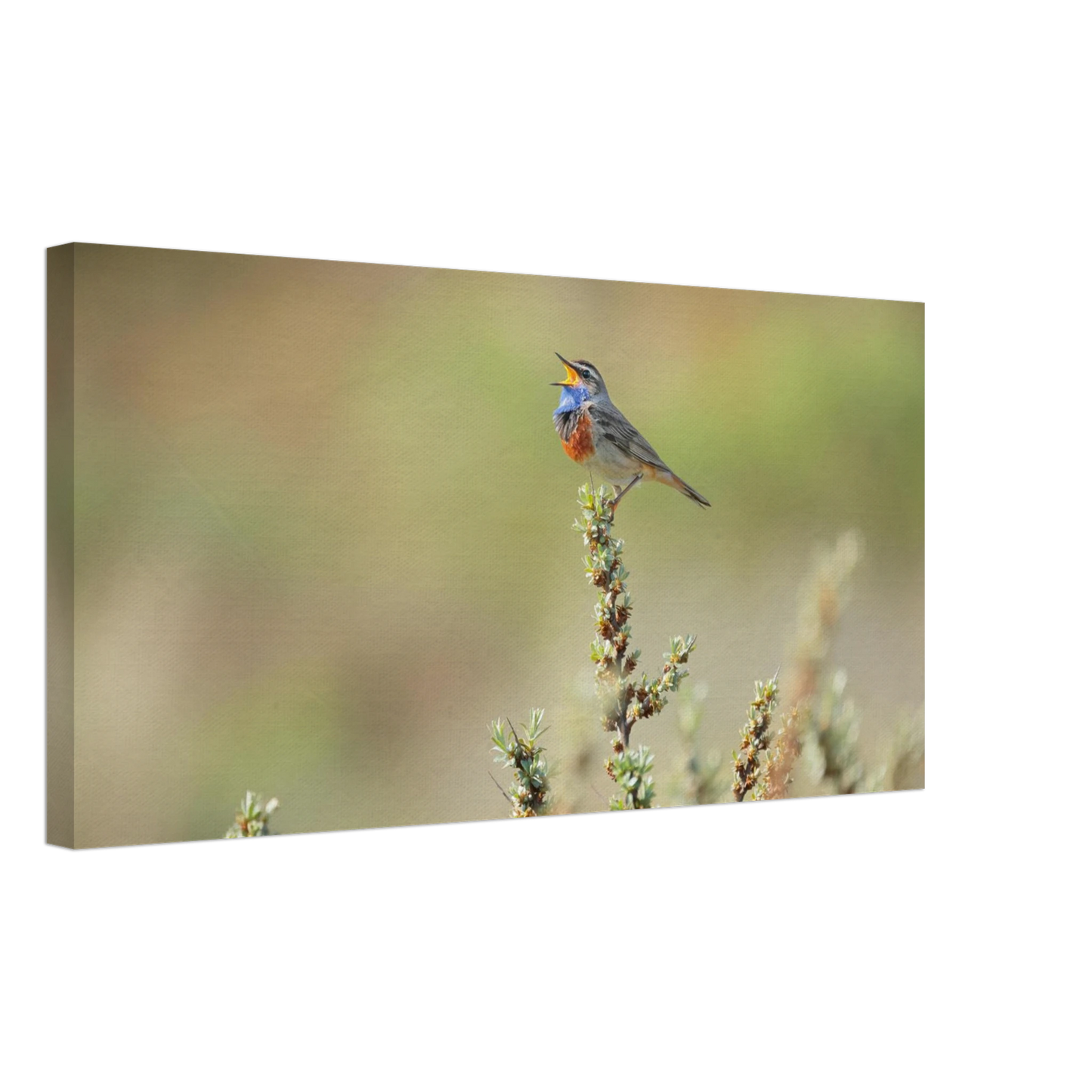 Wandbild der ruf der wildnis ein lebhaftes vogelportraet