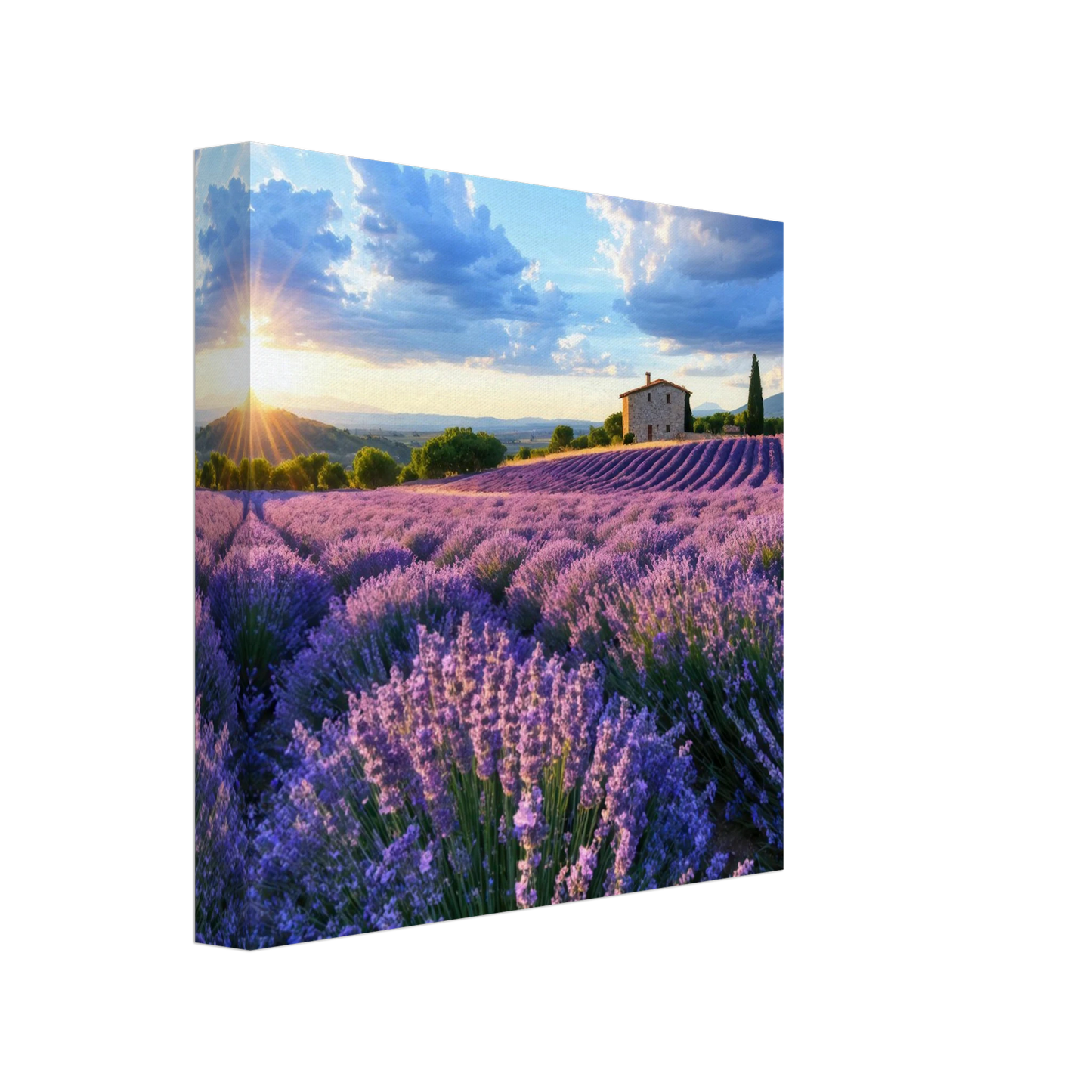 Wandbild sonnenuntergang ueber lavendelfeldern idyllische provence landschaft im wunschformat