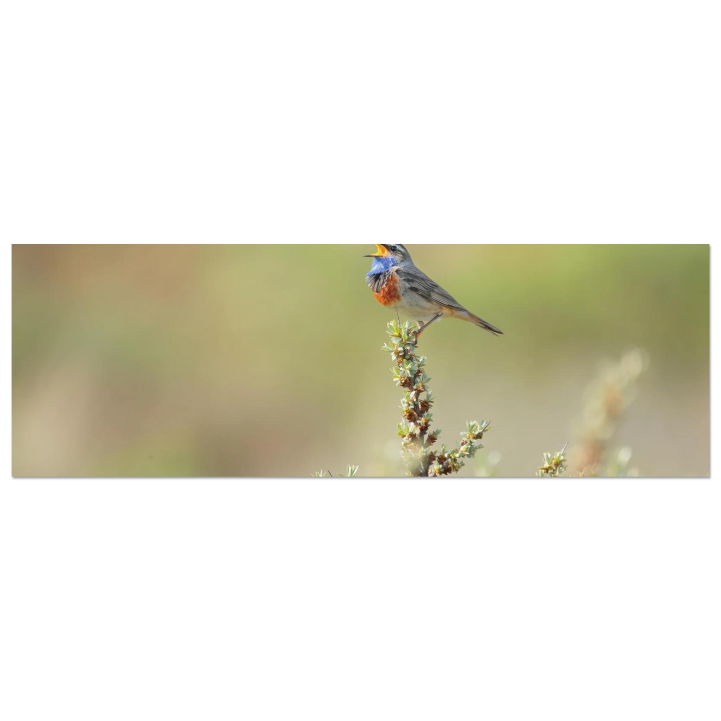 Wandbild der ruf der wildnis ein lebhaftes vogelportraet