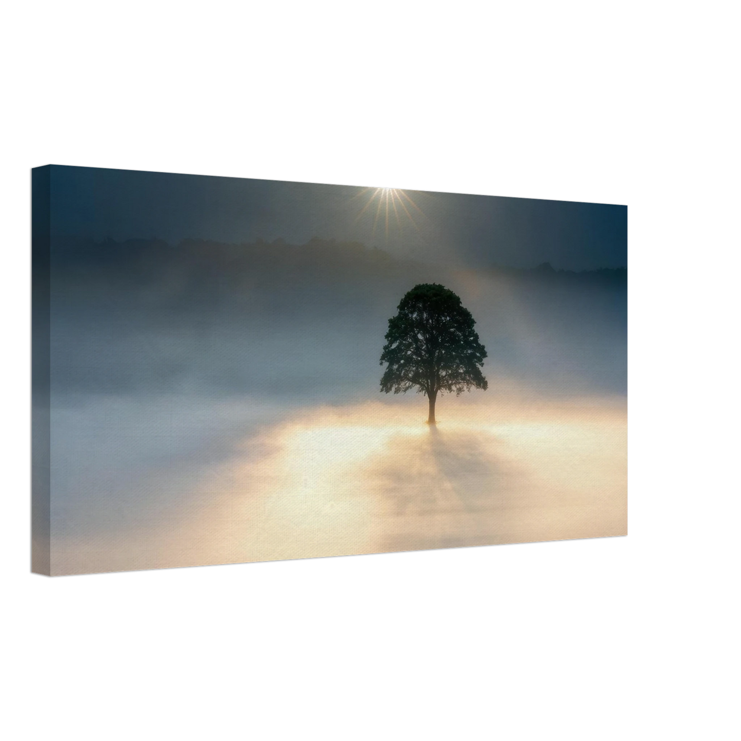 Wandbild mystisches baum wandbild einzelner baum im nebel sonnenaufgang waehlbar in verschiedenen groessen