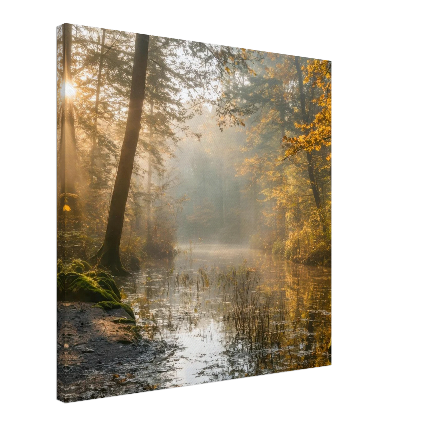 Wandbild Herbstwald morgenlicht wandbild goldenes ambiente in deiner wunschgroesse