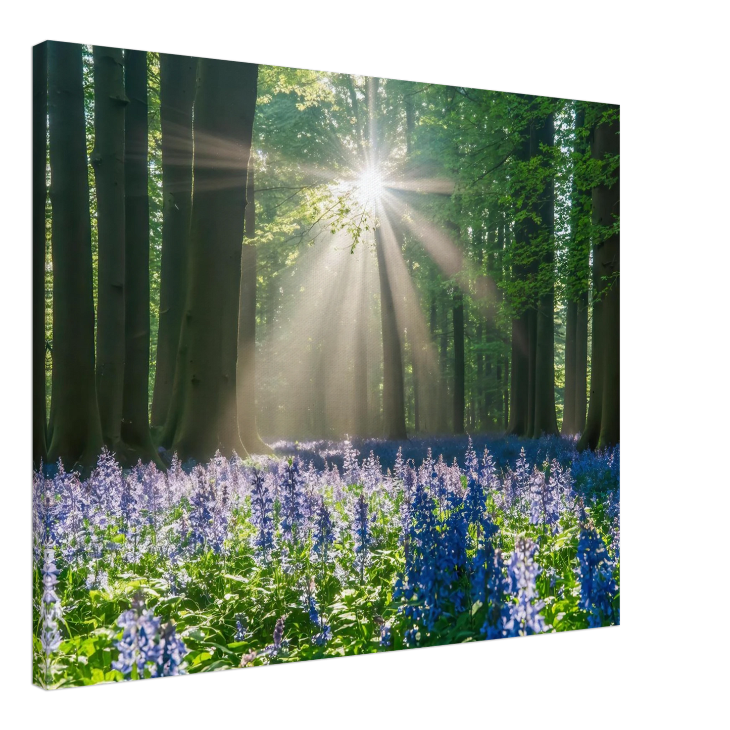 Wandbild bezaubernder wald mit sonnenstrahlen und lila bluetenmeer dein stueck natur