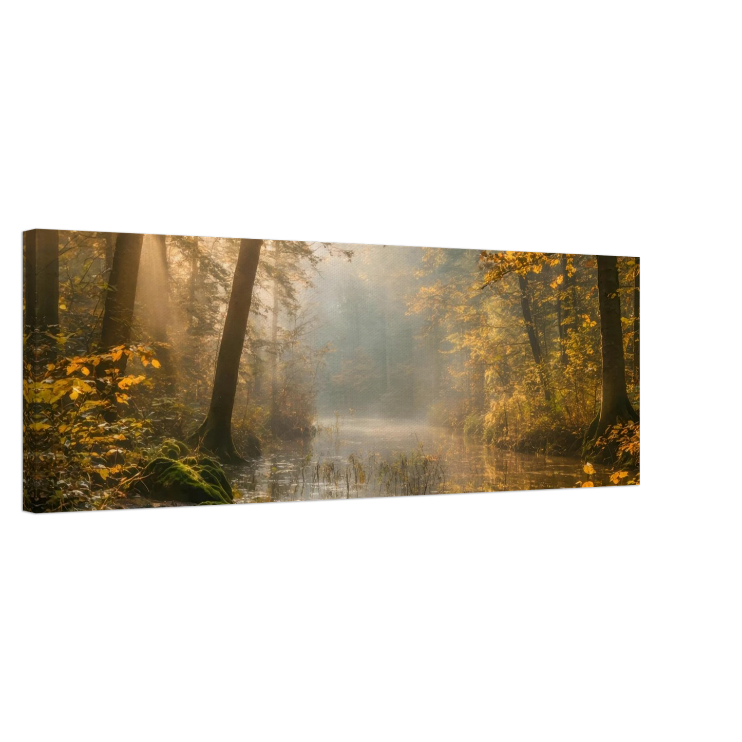 Wandbild Herbstwald morgenlicht wandbild goldenes ambiente in deiner wunschgroesse