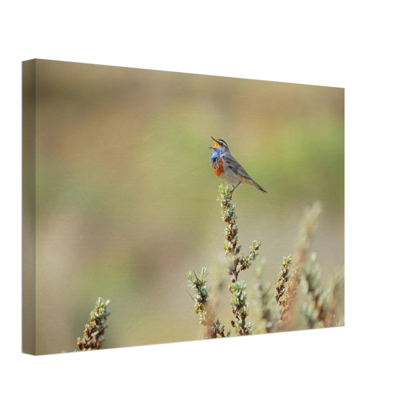 Wandbild der ruf der wildnis ein lebhaftes vogelportraet