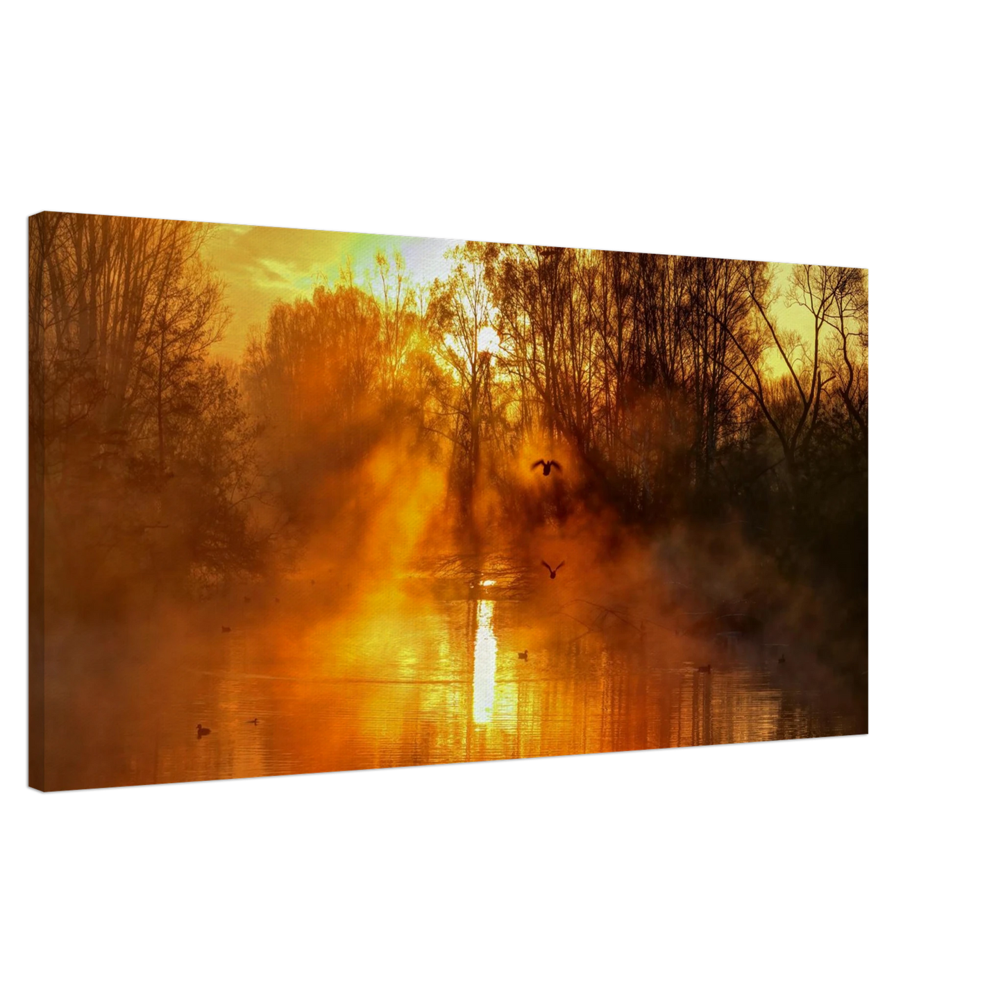 Wandbild Goldene morgenroete wandbild nebelwald poster in 25 groessenausfuehrungen