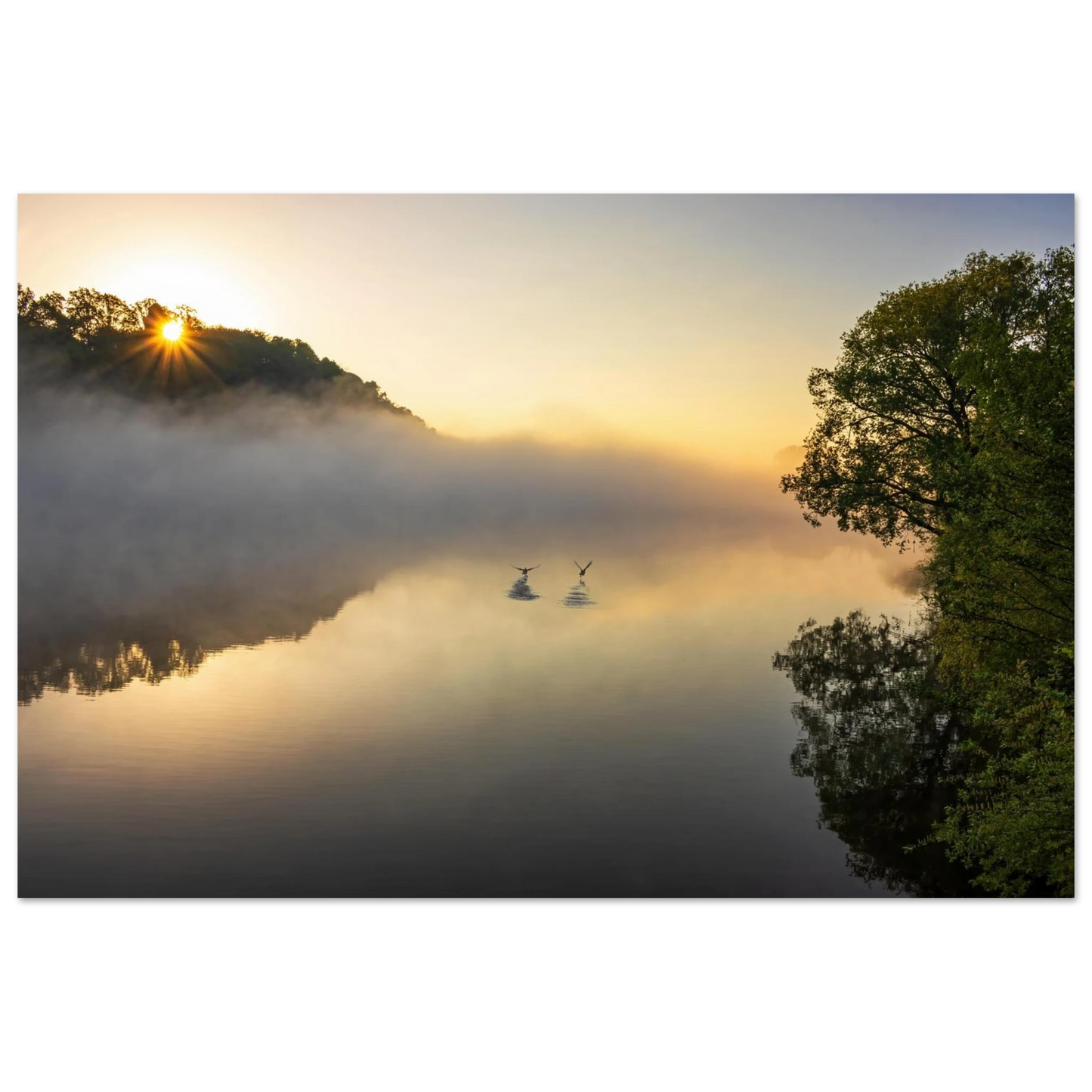 Wandbild mystischer sonnenaufgang ueber dem nebelmeer stille wasser voegel leinwandbild fuer ihr zuhause