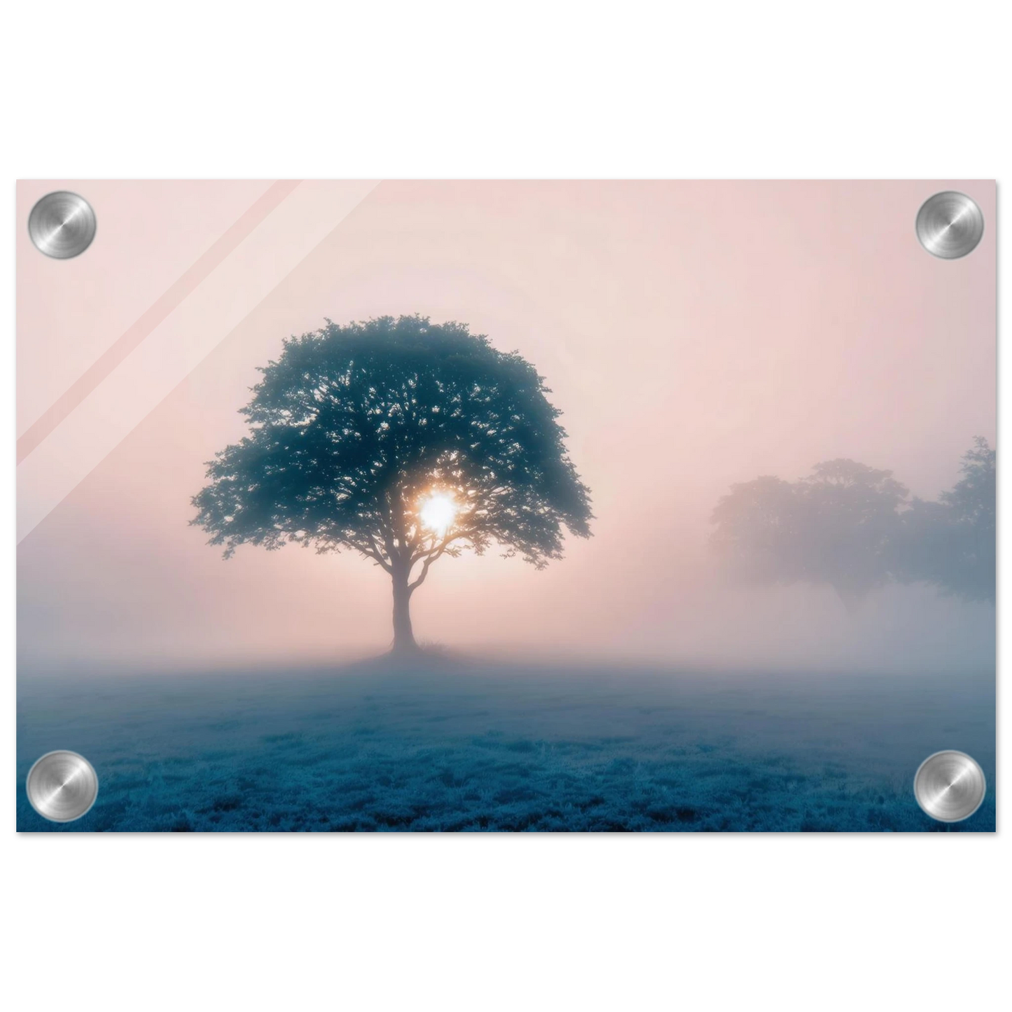 Wandbild mystischer morgendaemmerung baum traumhaftes landschaftsbild fuer ihre wohlfuehloase