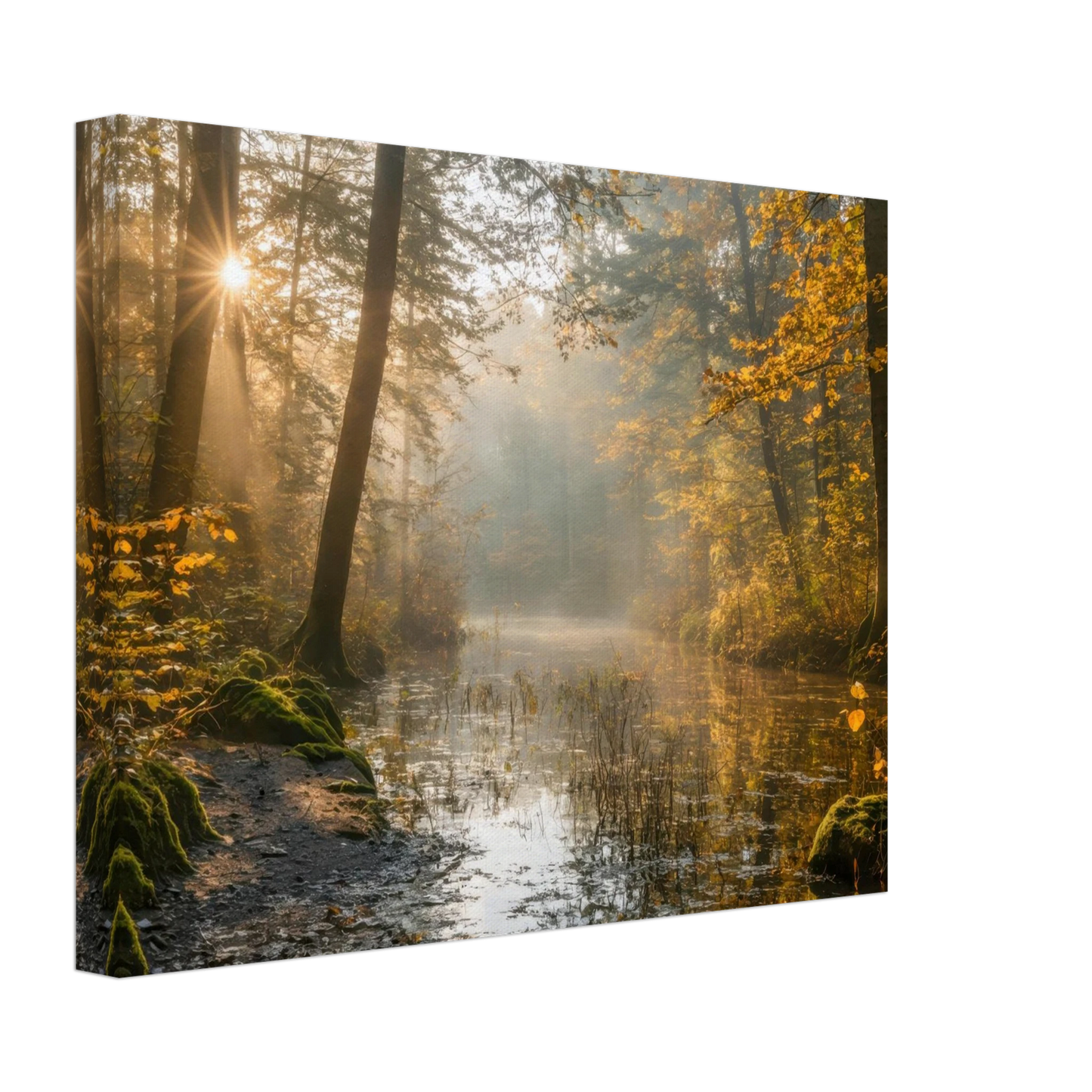 Wandbild Herbstwald morgenlicht wandbild goldenes ambiente in deiner wunschgroesse