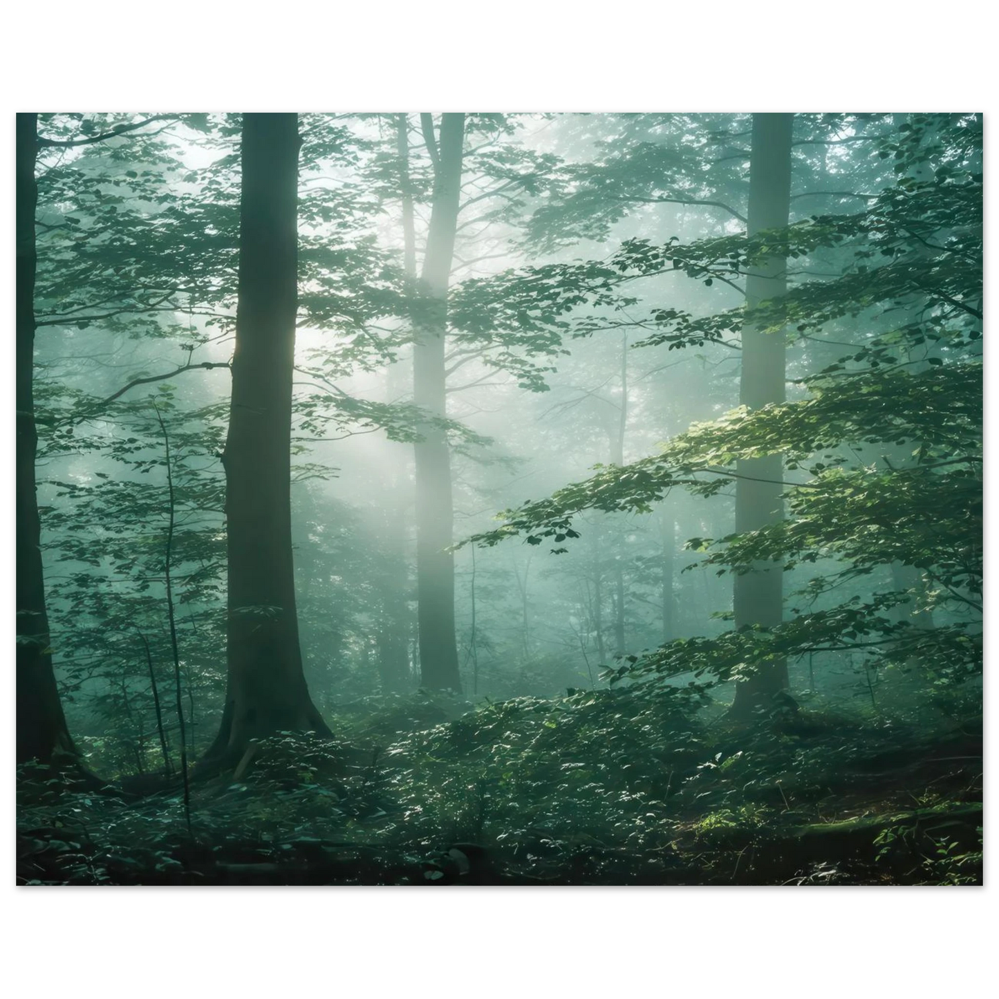 Wandbild mystischer smaragd wald mit sonnenstrahlen beruhigende nebelwald kunst in ihrer wunschgroesse